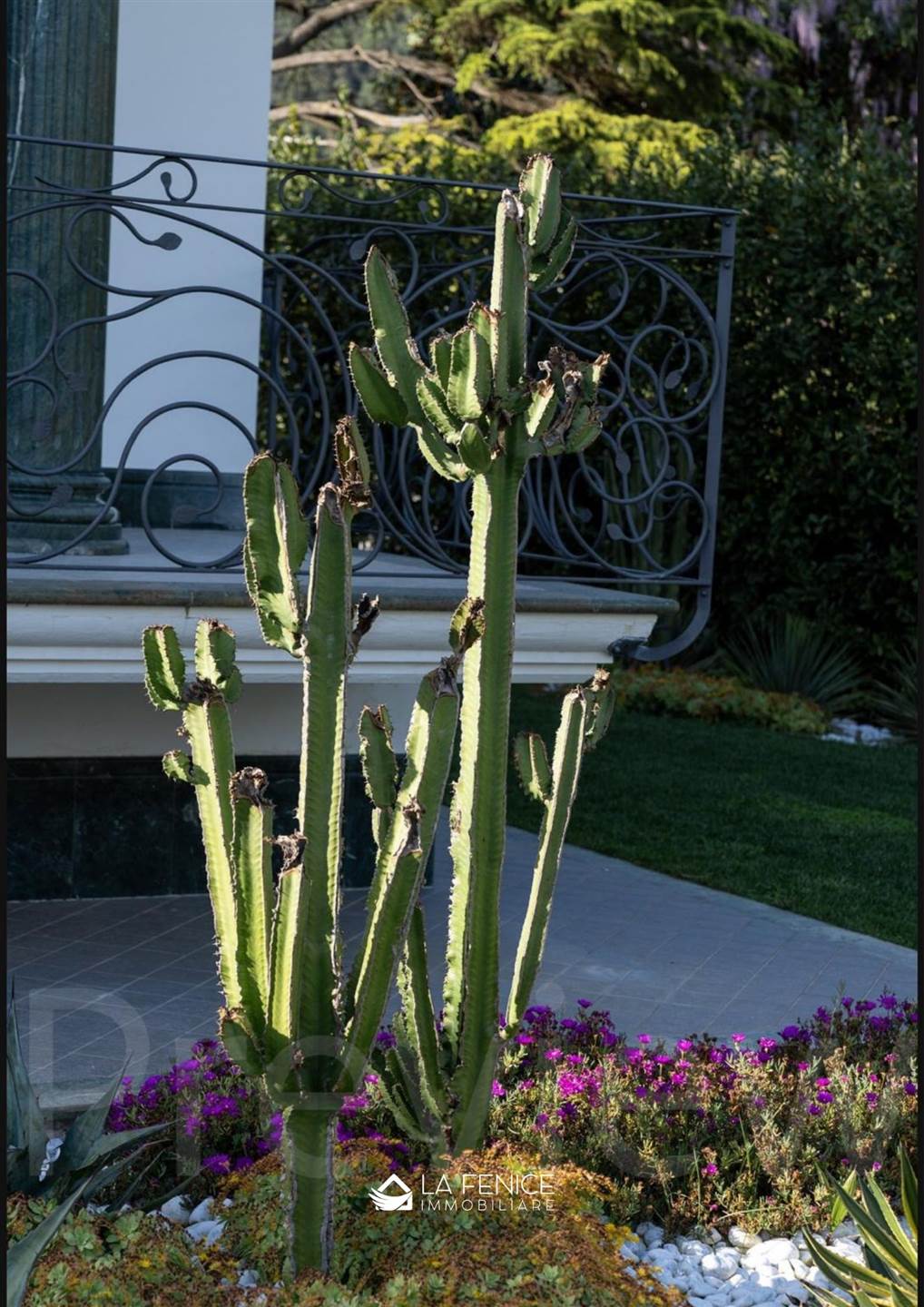 Villa a Montignoso con 7 locali di 236 m2 - Foto