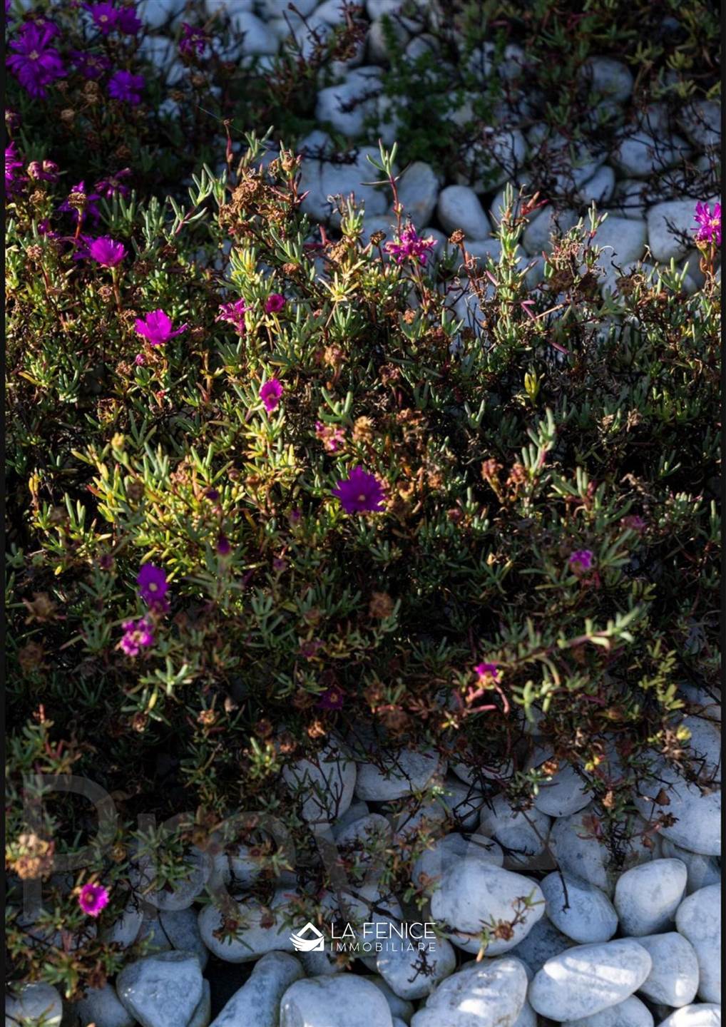 Villa a Montignoso con 7 locali di 236 m2 - Foto