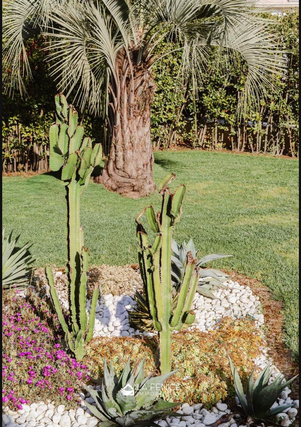 Villa a Montignoso con 7 locali di 236 m2 - Foto