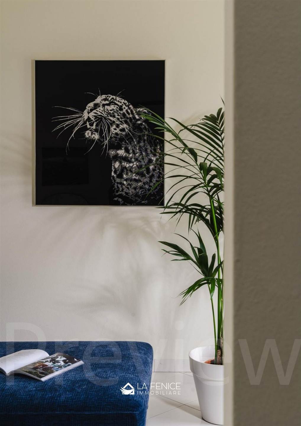 Villa a Montignoso con 7 locali di 236 m2 - Foto