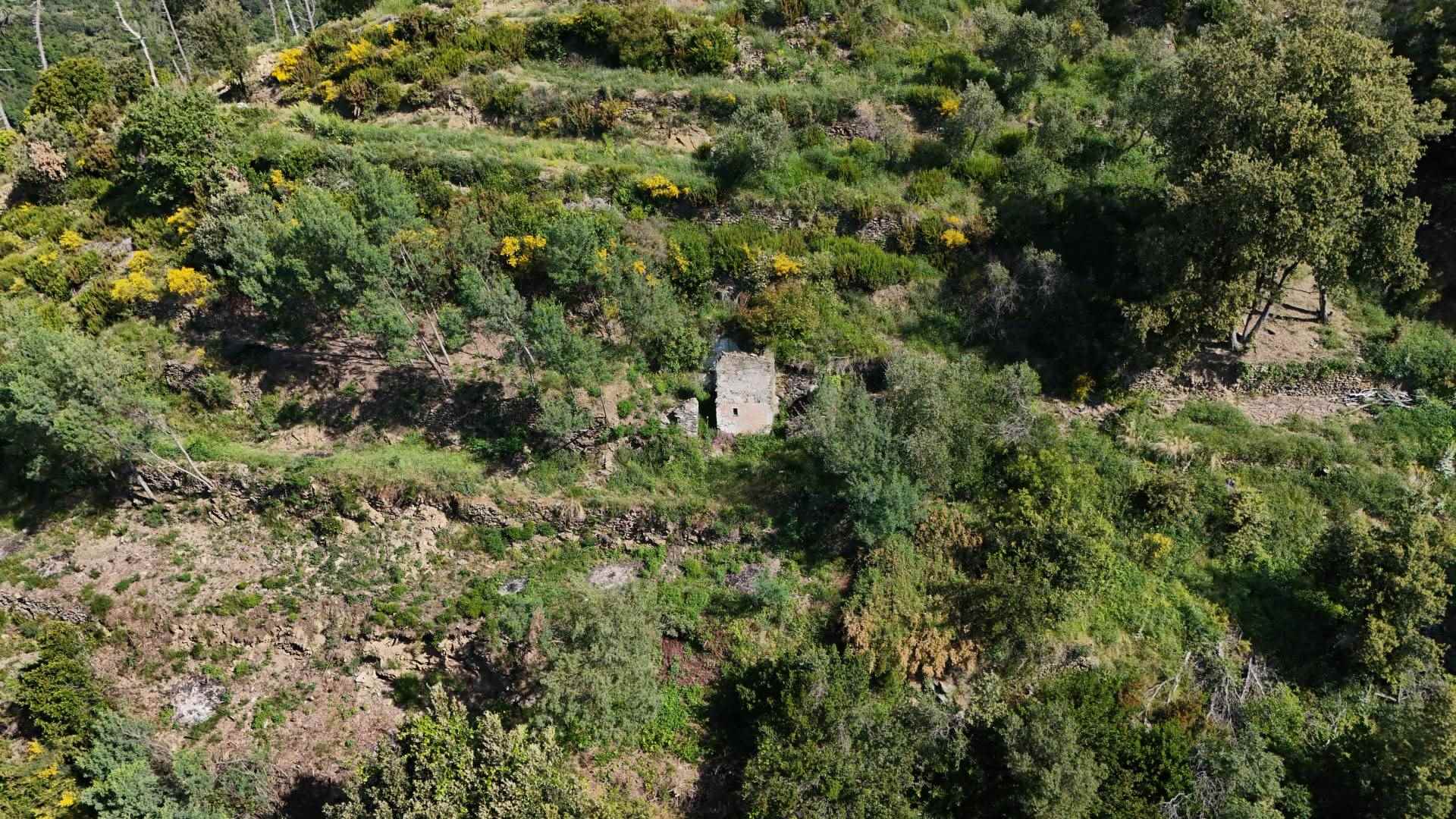 Rustico casale a Monterosso al mare con 8 locali di 22311 m2 - Foto