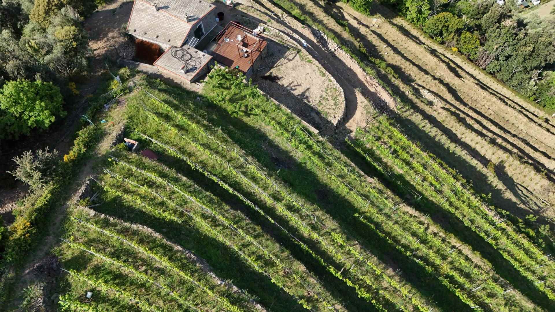 Rustico casale a Monterosso al mare con 8 locali di 22311 m2 - Foto