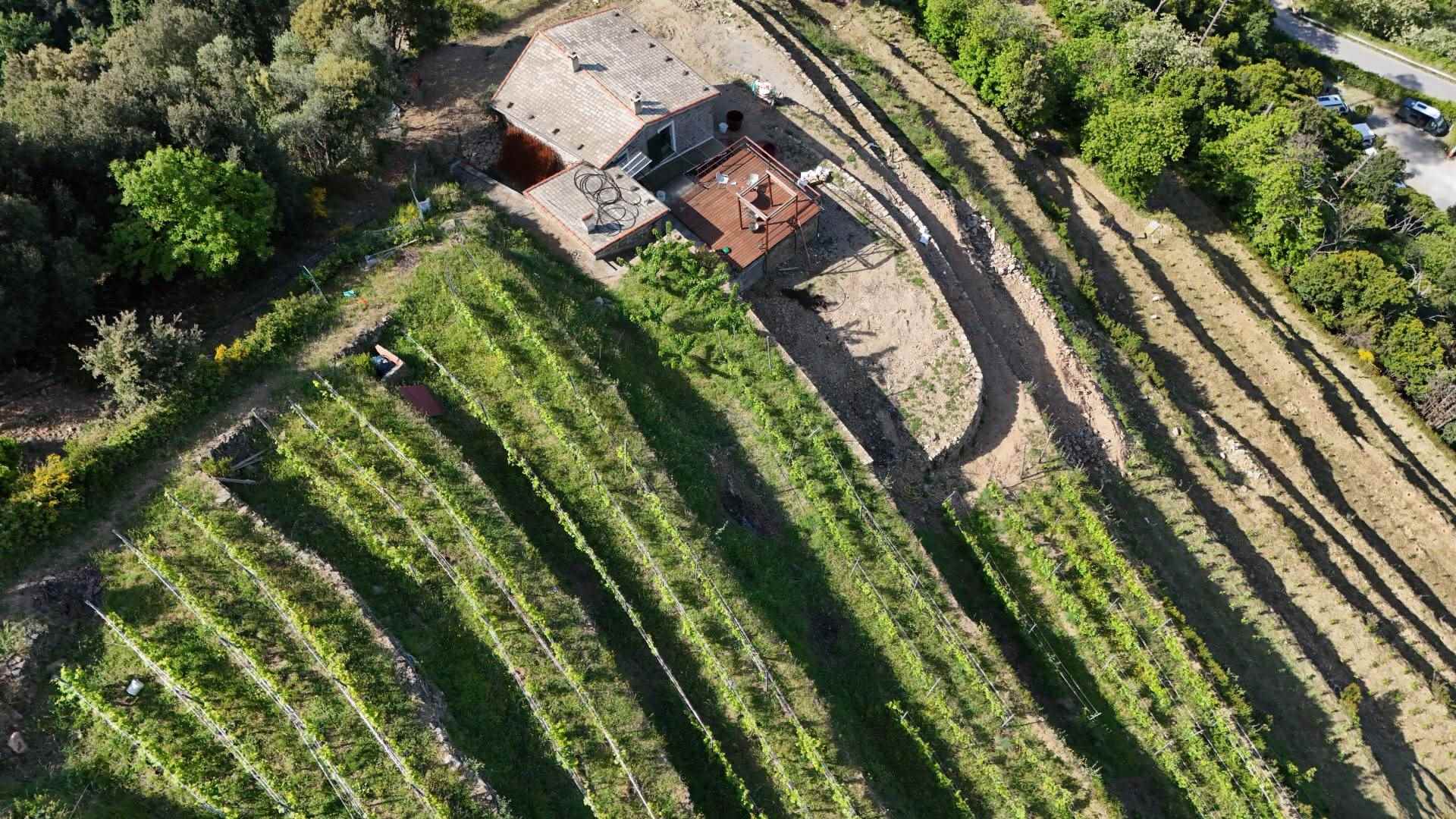 Rustico casale a Monterosso al mare con 8 locali di 22311 m2 - Foto