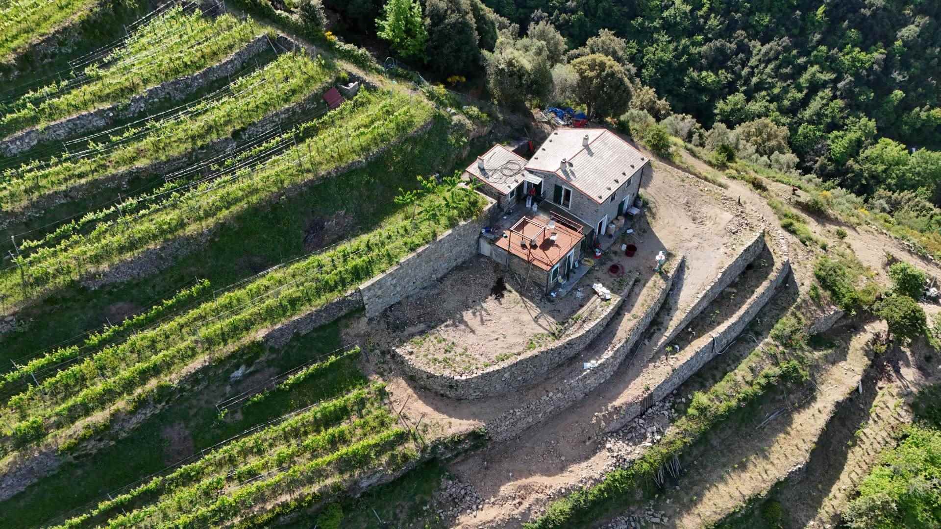 Rustico casale a Monterosso al mare con 8 locali di 22311 m2 - Foto