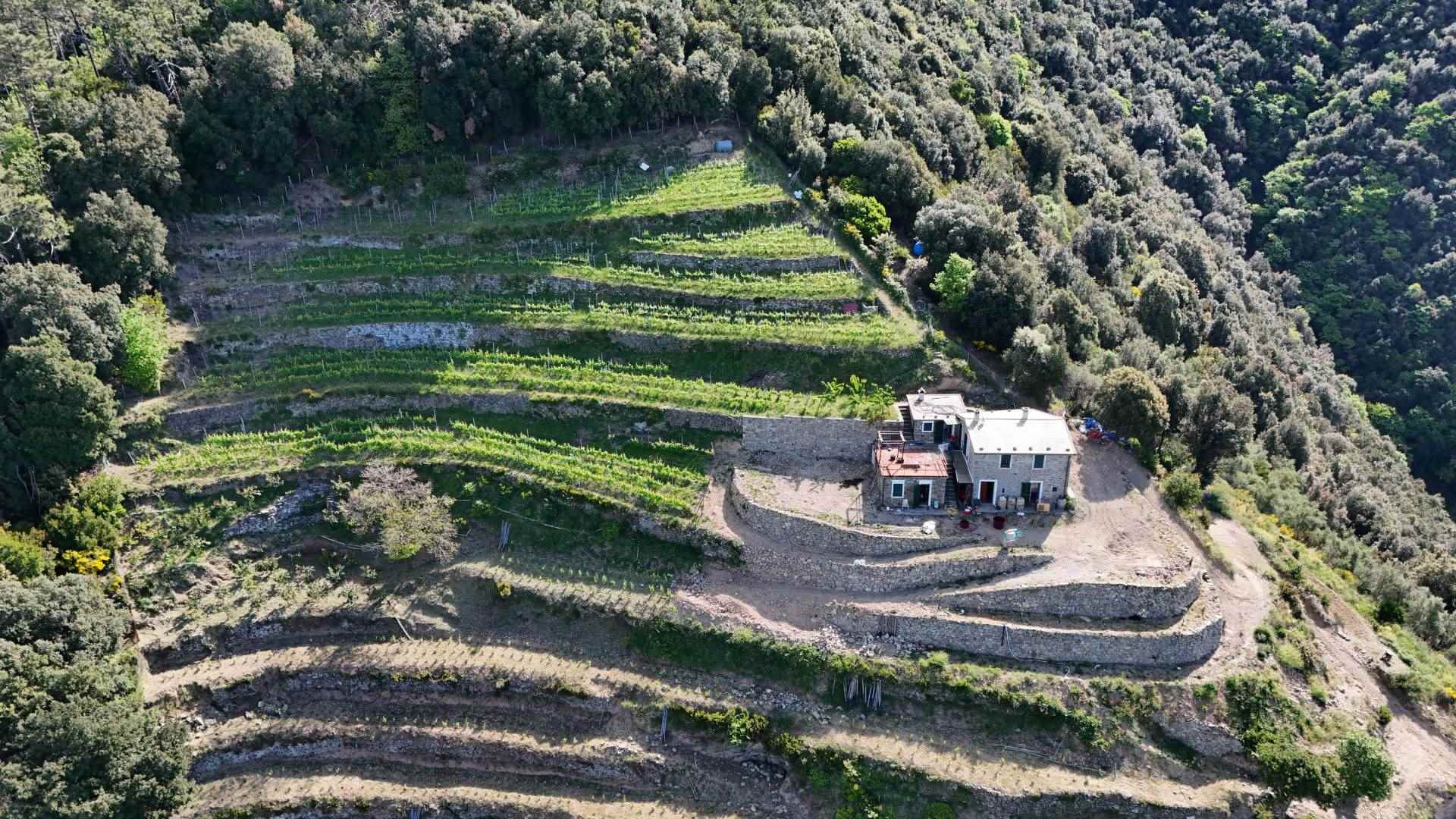Rustico casale a Monterosso al mare con 8 locali di 22311 m2 - Foto