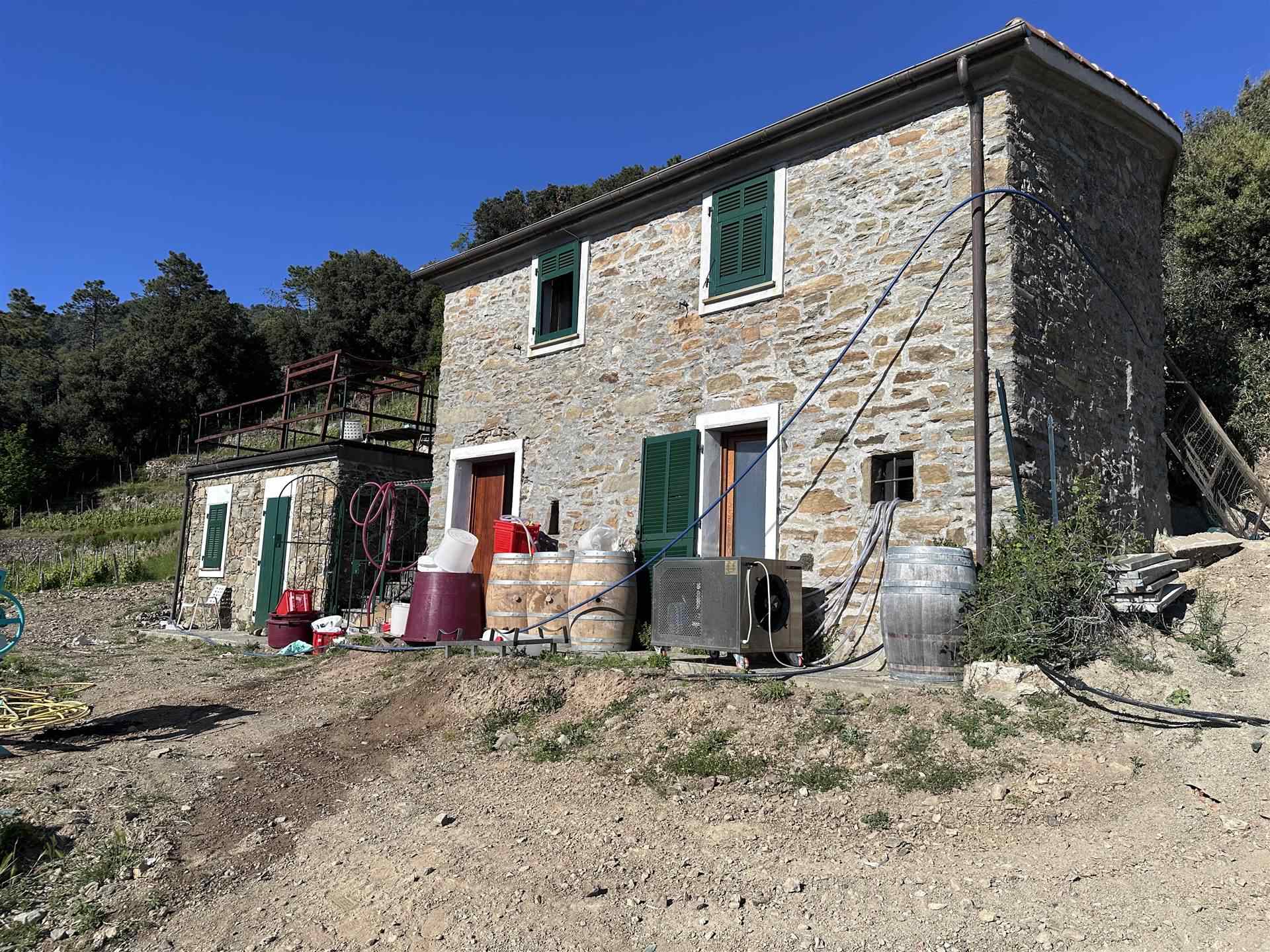 Rustico casale a Monterosso al mare con 8 locali di 22311 m2 - Foto