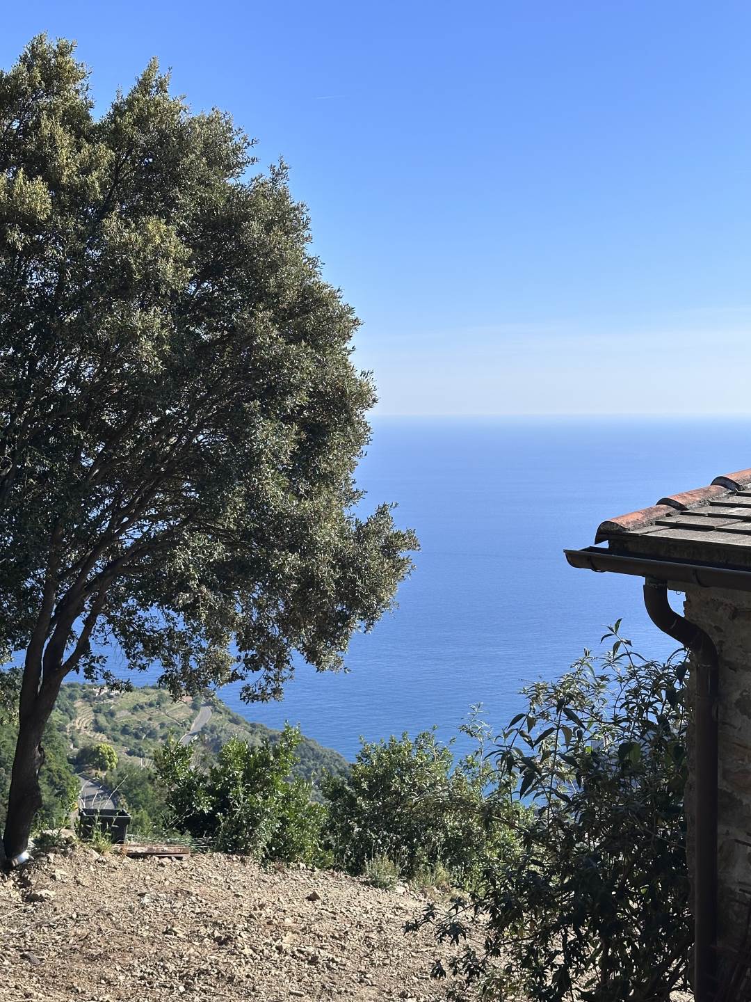 Rustico casale a Monterosso al mare con 8 locali di 22311 m2 - Foto