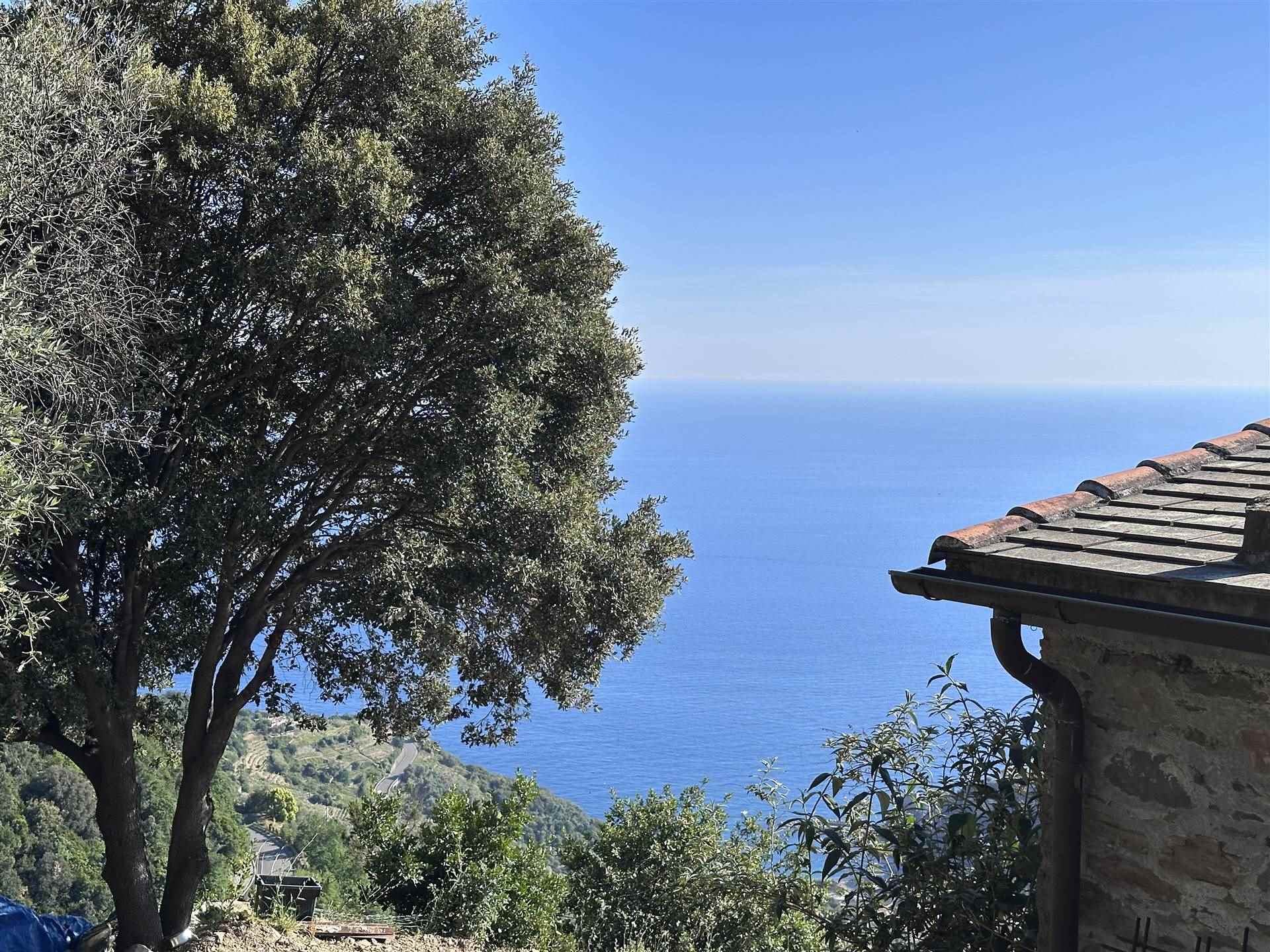 Rustico casale a Monterosso al mare con 8 locali di 22311 m2 - Foto