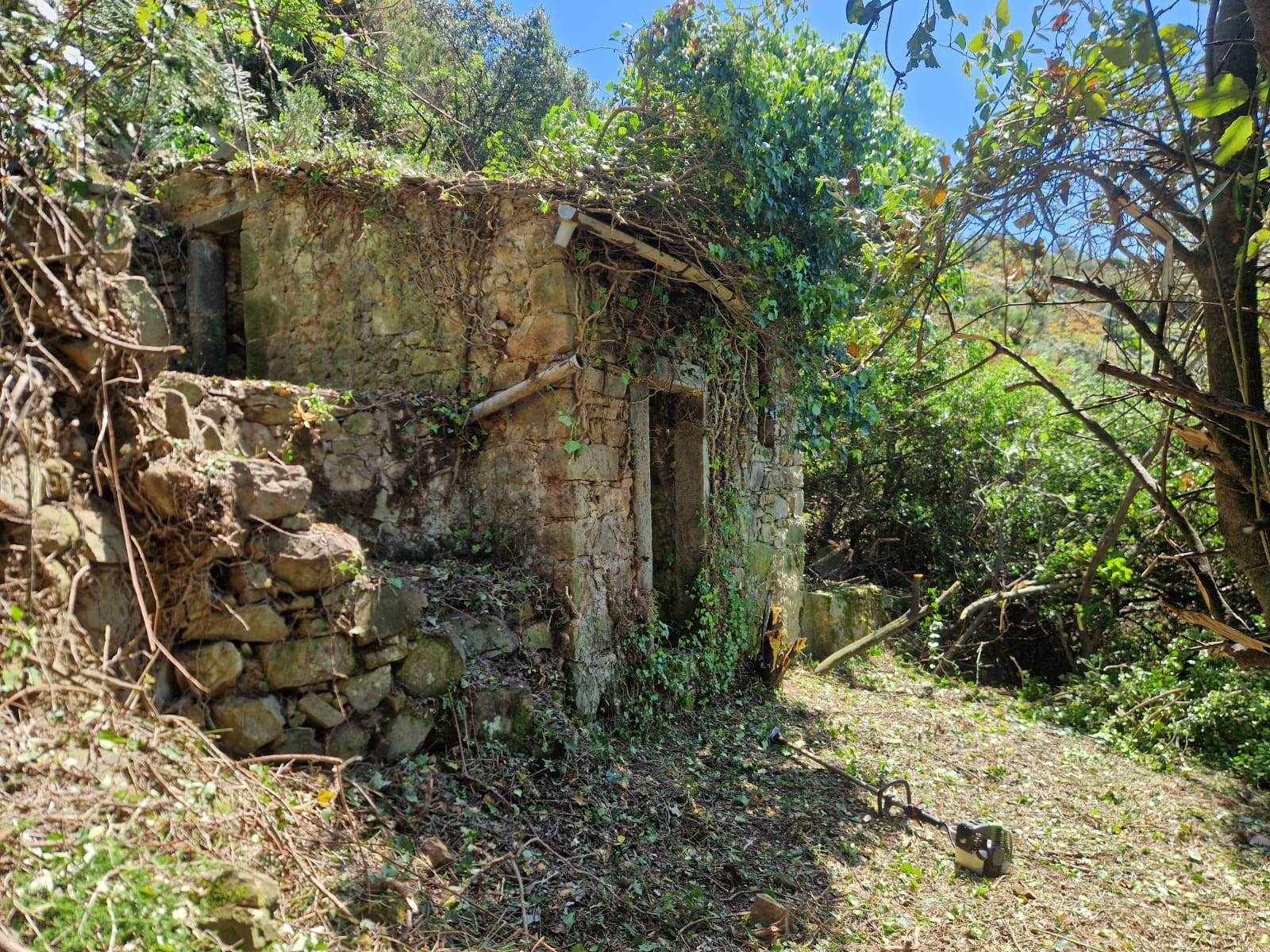 Rustico casale a Riomaggiore con 2 locali di 10 m2 - Foto