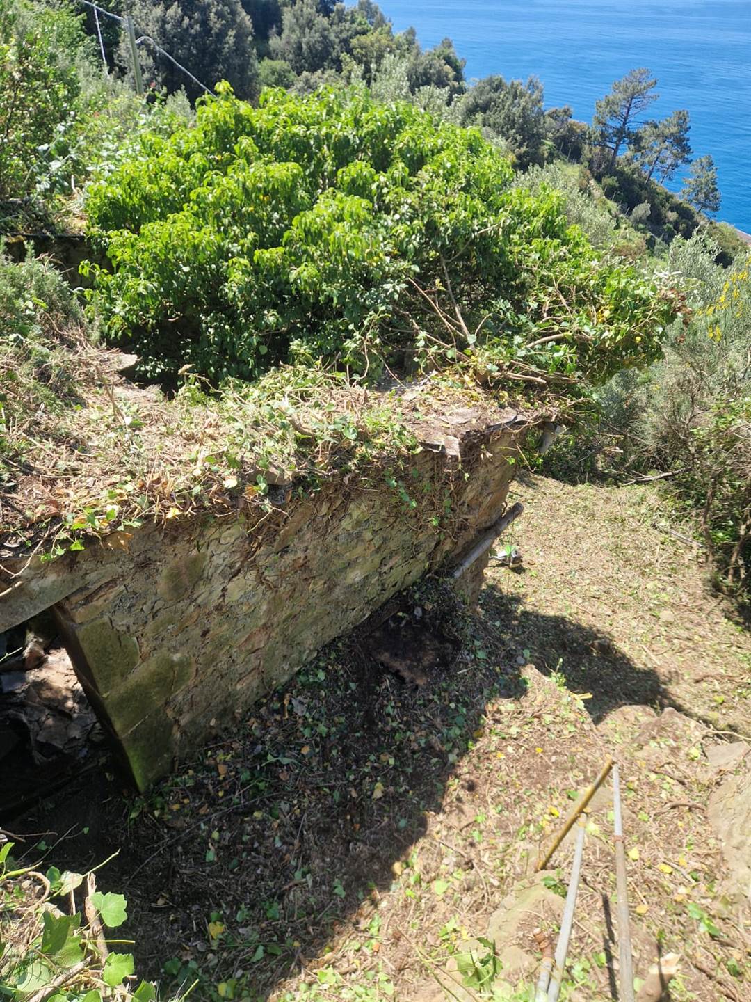Rustico casale a Riomaggiore con 2 locali di 10 m2 - Foto