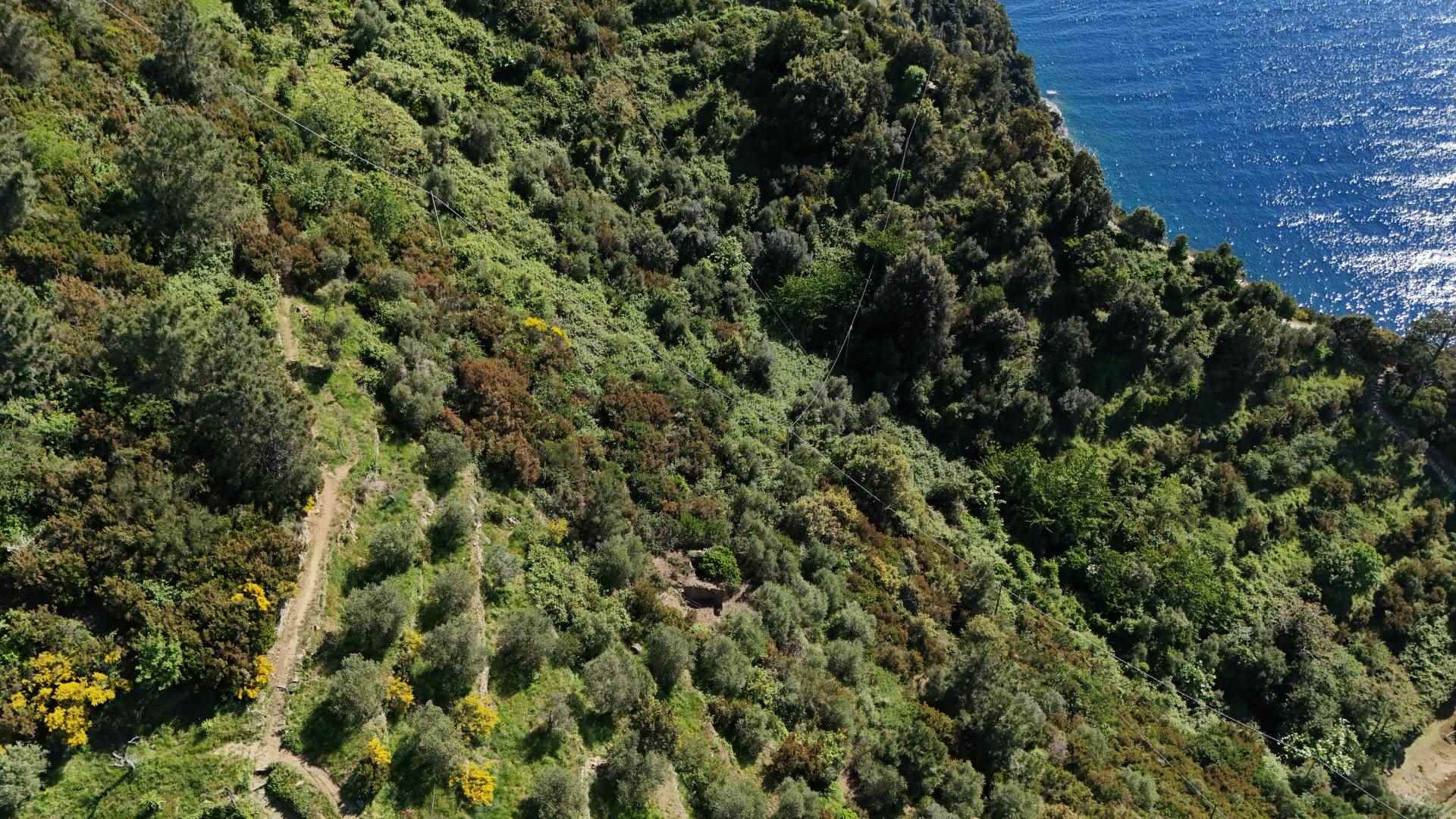 Rustico casale a Riomaggiore con 2 locali di 10 m2 - Foto