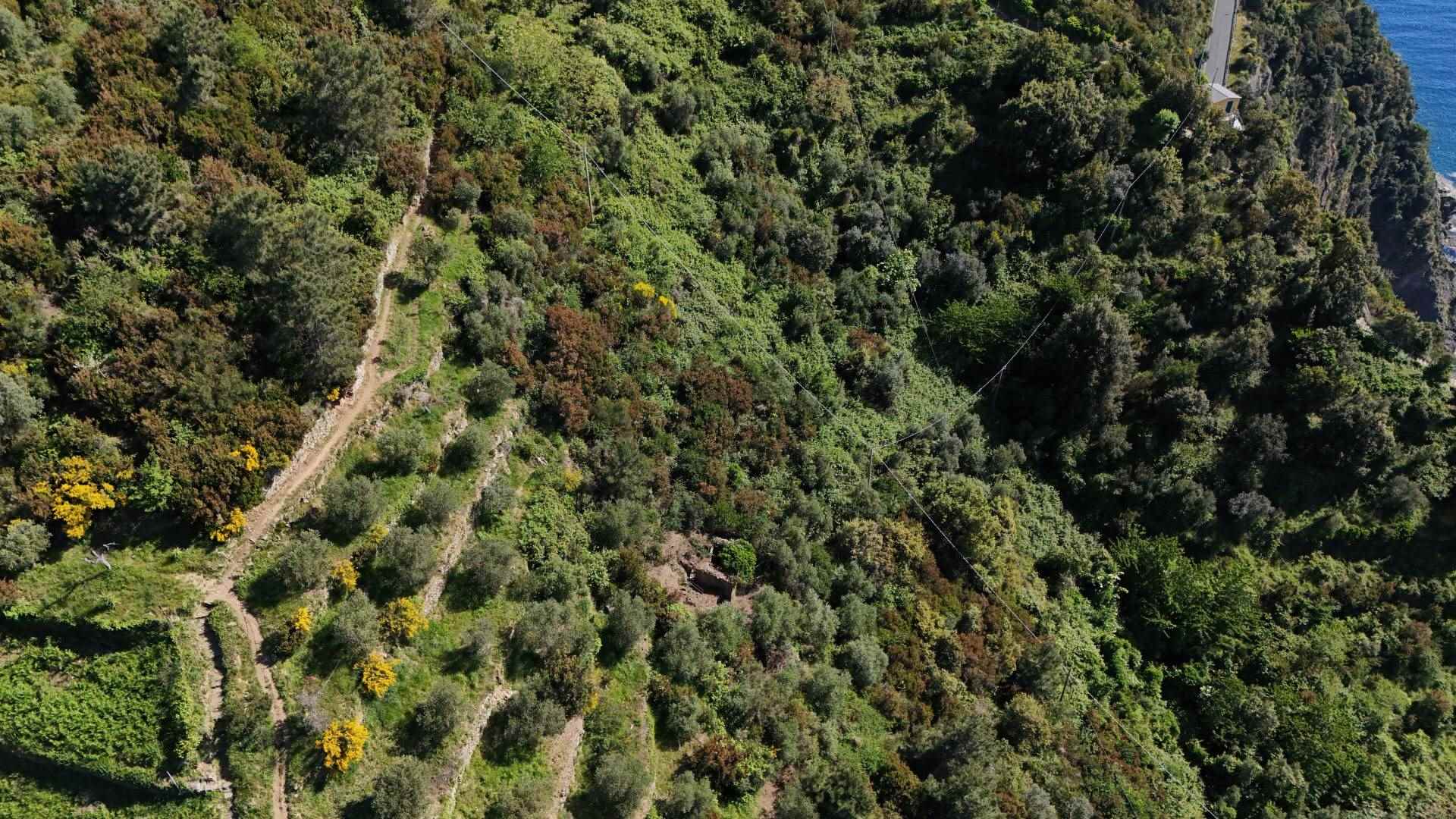 Rustico casale a Riomaggiore con 2 locali di 10 m2 - Foto