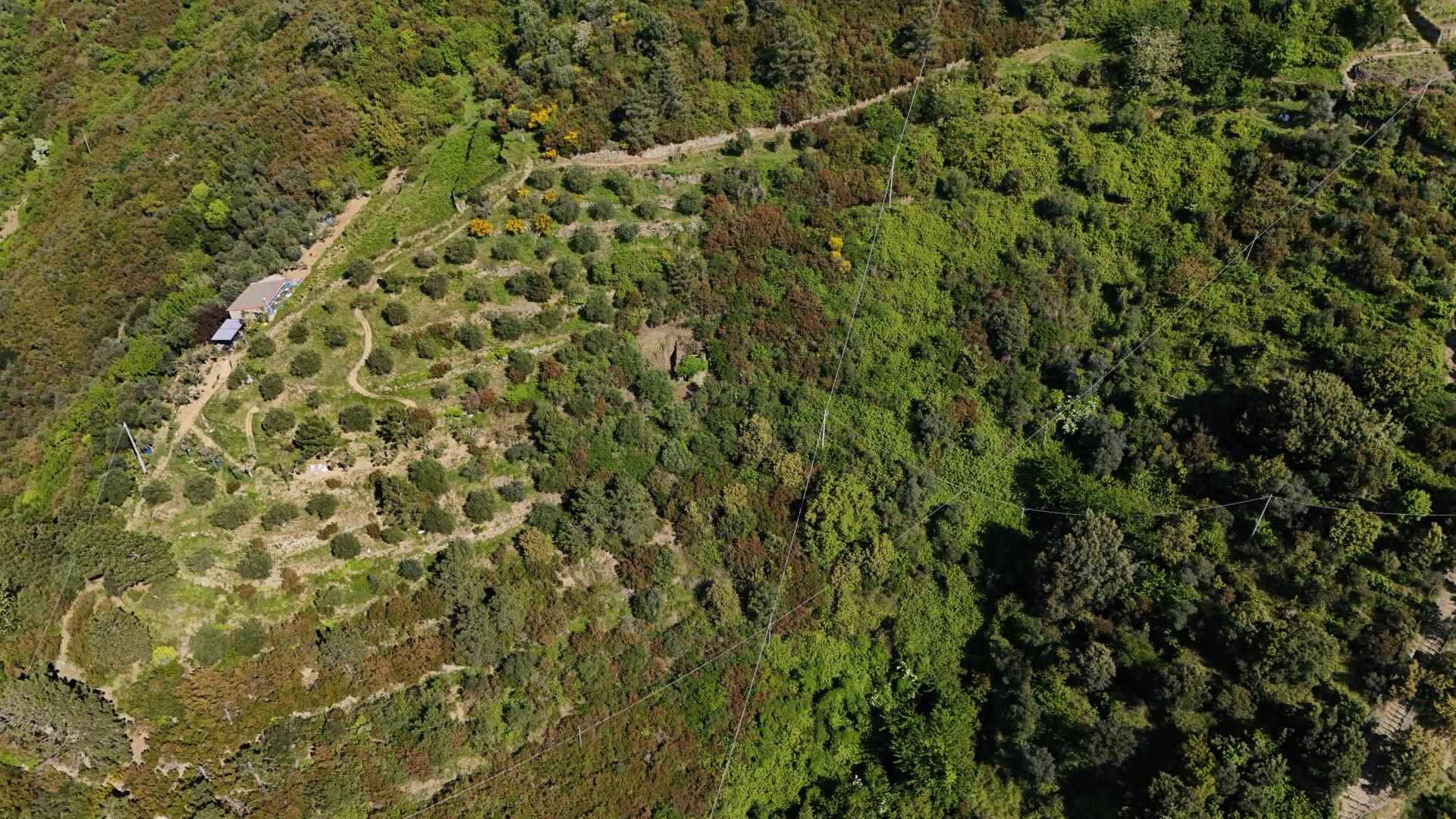 Rustico casale a Riomaggiore con 2 locali di 10 m2 - Foto