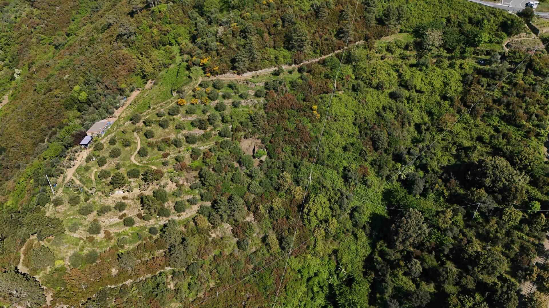 Rustico casale a Riomaggiore con 2 locali di 10 m2 - Foto