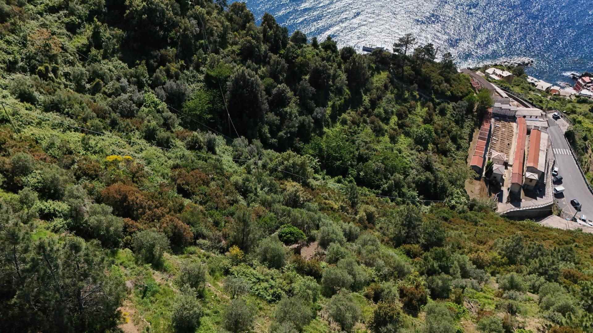 Rustico casale a Riomaggiore con 2 locali di 10 m2 - Foto
