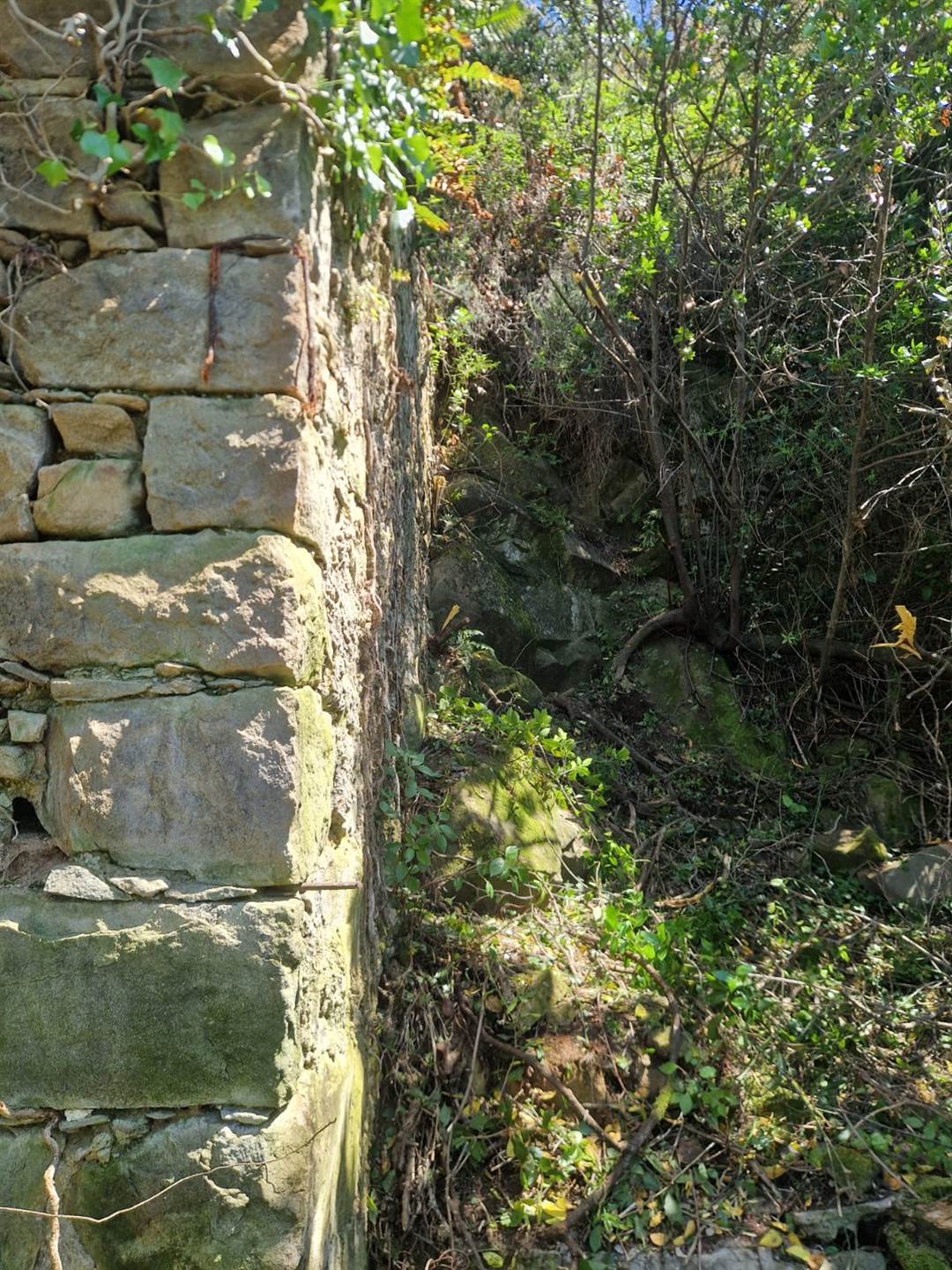 Rustico casale a Riomaggiore con 2 locali di 10 m2 - Foto