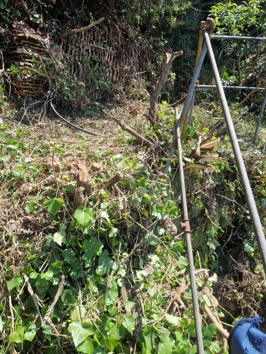 Rustico casale a Riomaggiore con 2 locali di 10 m2 - Foto