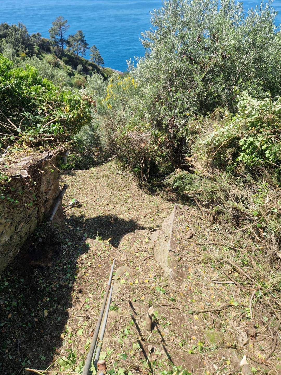 Rustico casale a Riomaggiore con 2 locali di 10 m2 - Foto