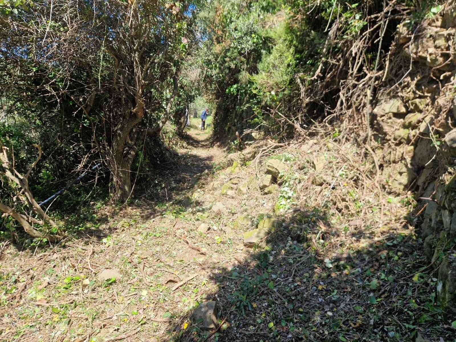 Rustico casale a Riomaggiore con 2 locali di 10 m2 - Foto
