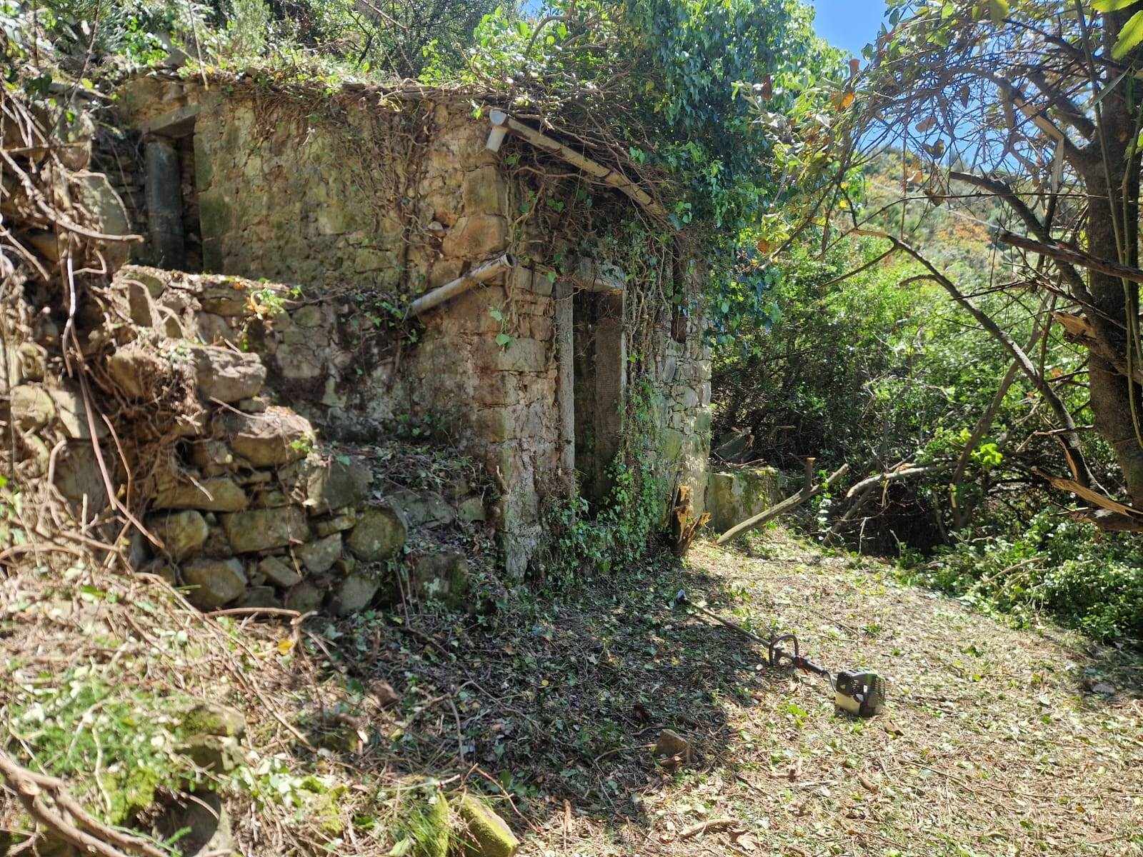 Rustico casale a Riomaggiore con 2 locali di 10 m2 - Foto