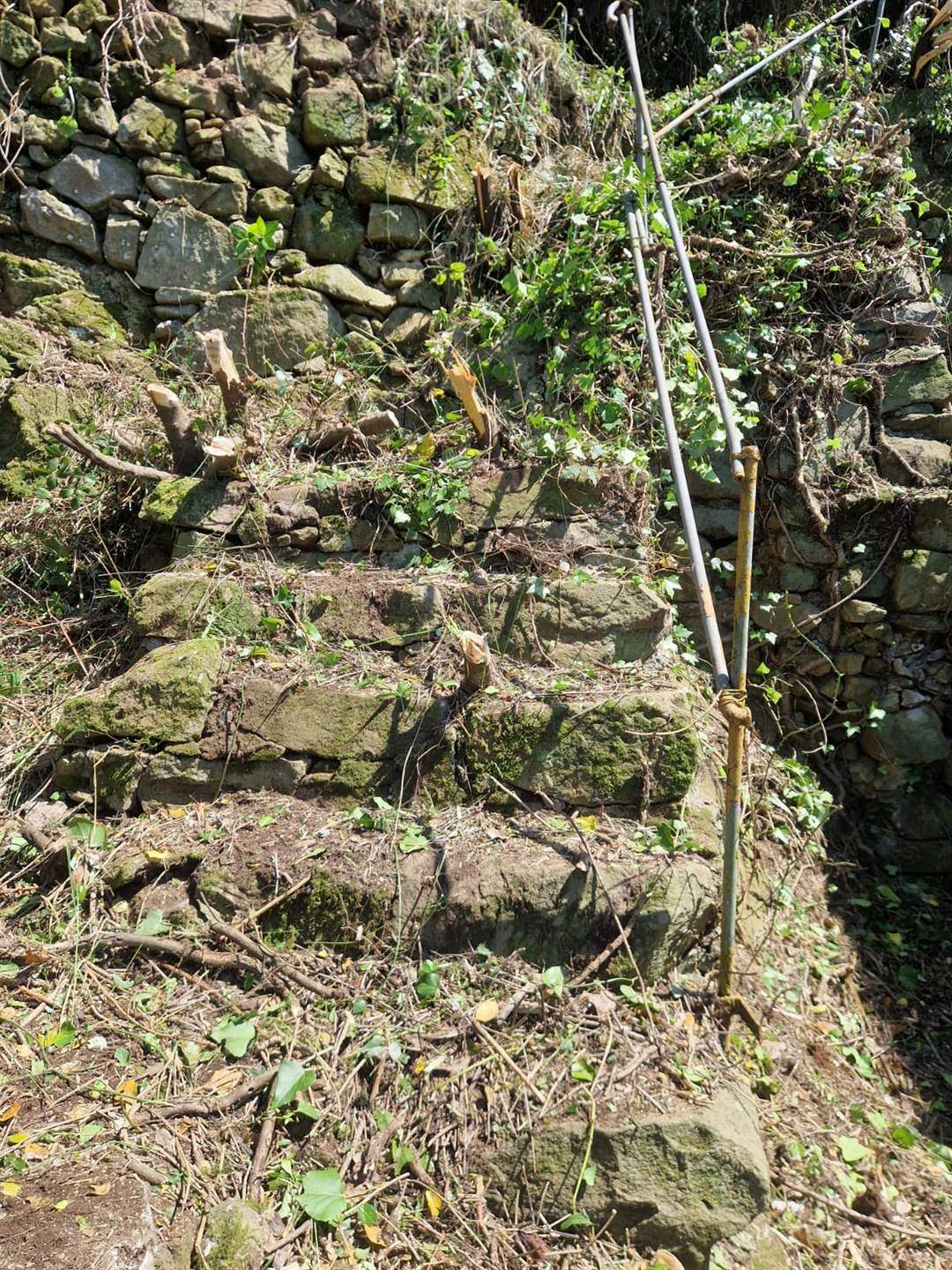 Rustico casale a Riomaggiore con 2 locali di 10 m2 - Foto