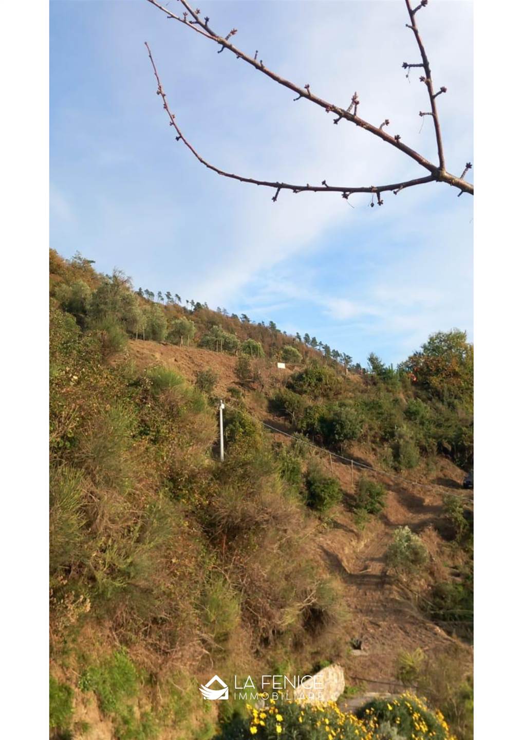 Rustico casale a Levanto con 3 locali di 136 m2 - Foto