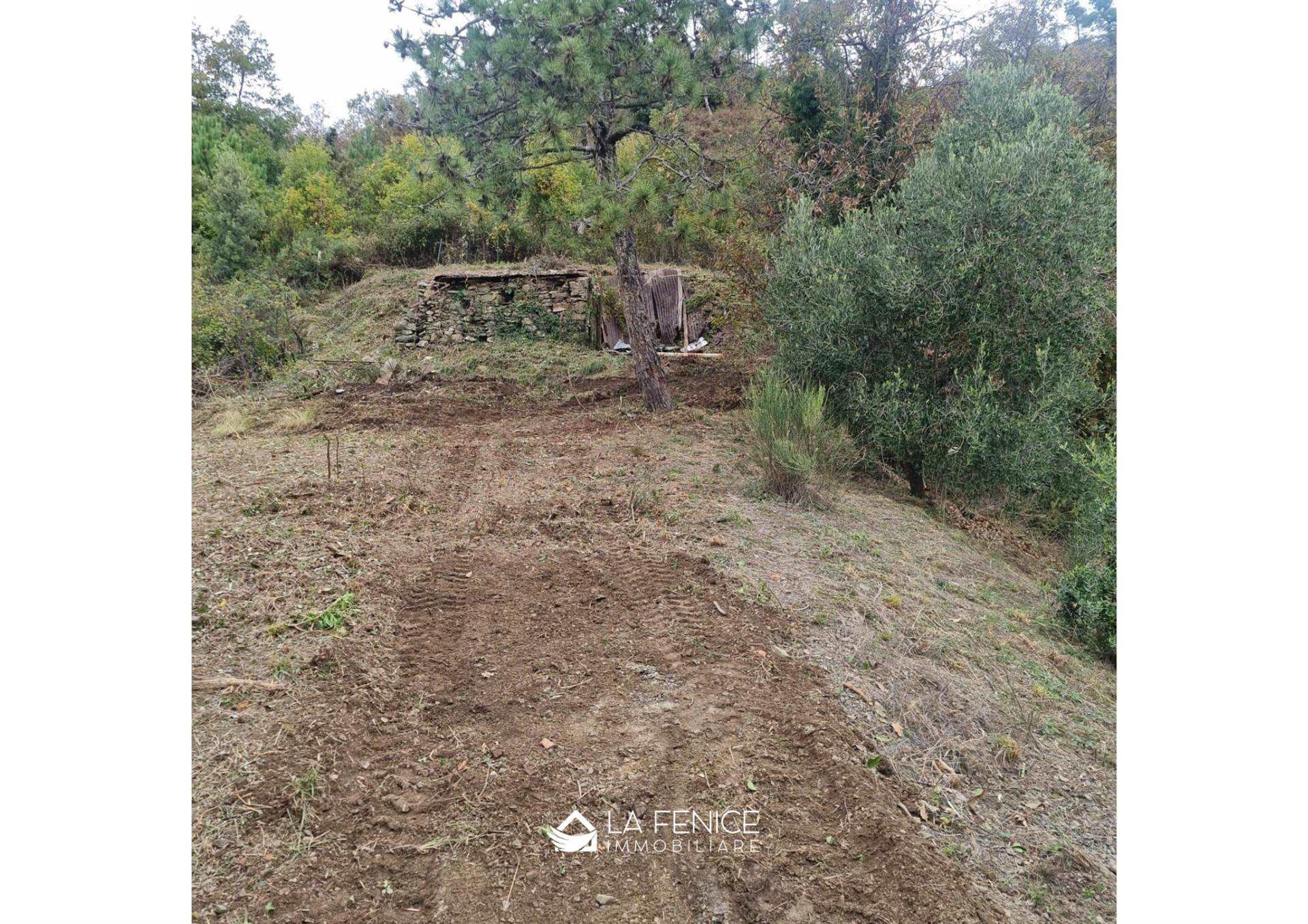 Rustico casale a Levanto con 3 locali di 136 m2 - Foto