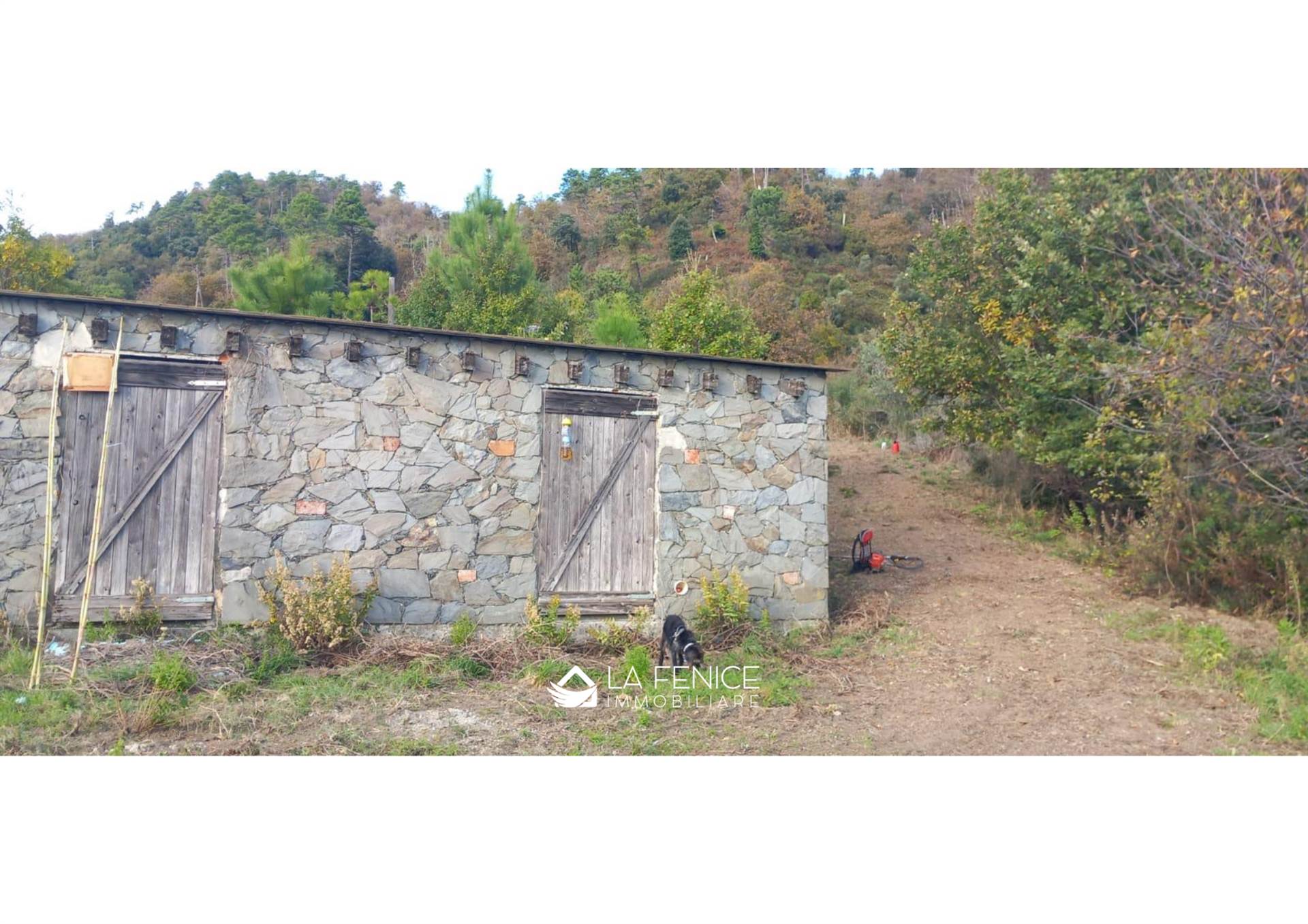 Rustico casale a Levanto con 3 locali di 136 m2 - Foto