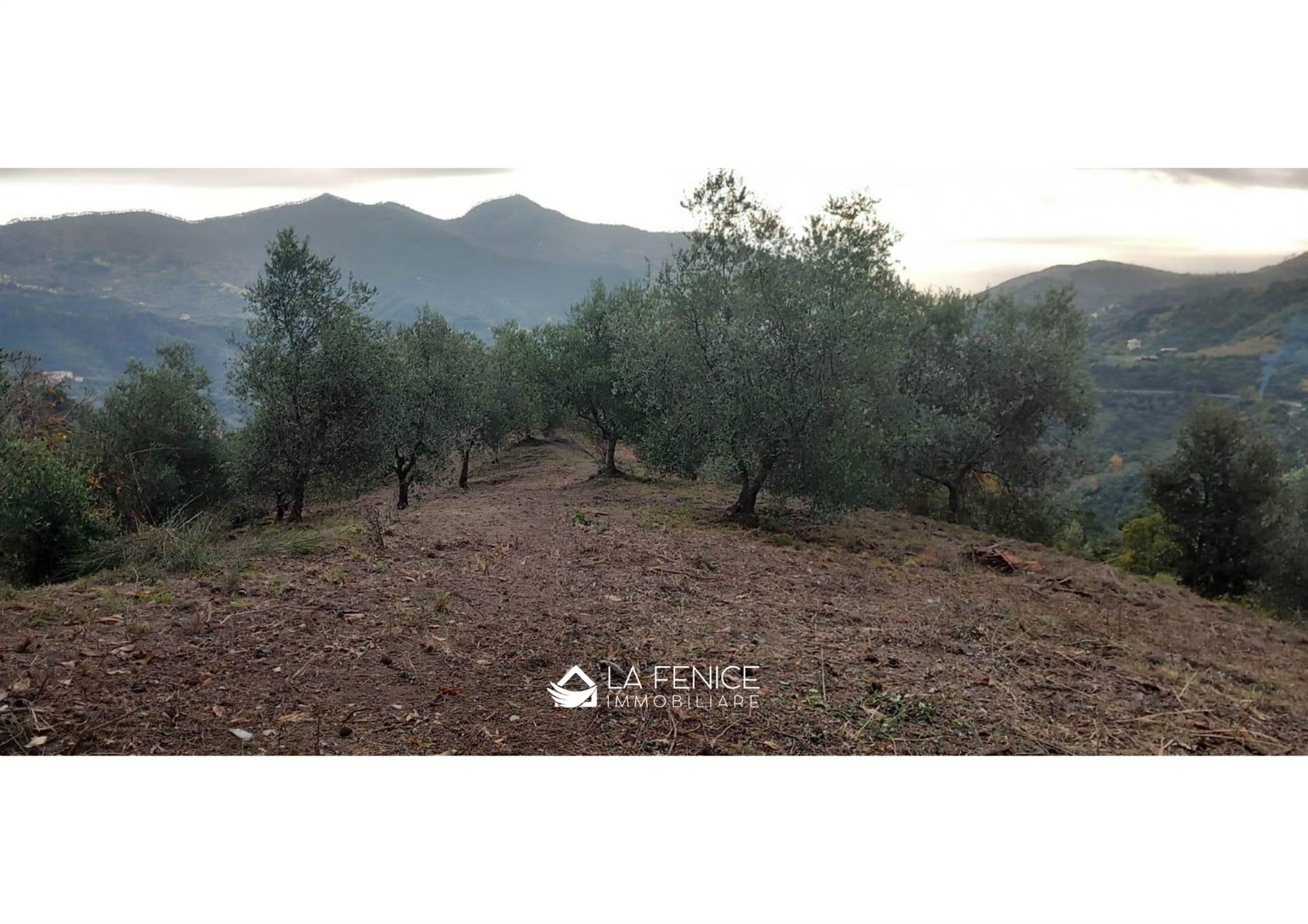 Rustico casale a Levanto con 3 locali di 136 m2 - Foto
