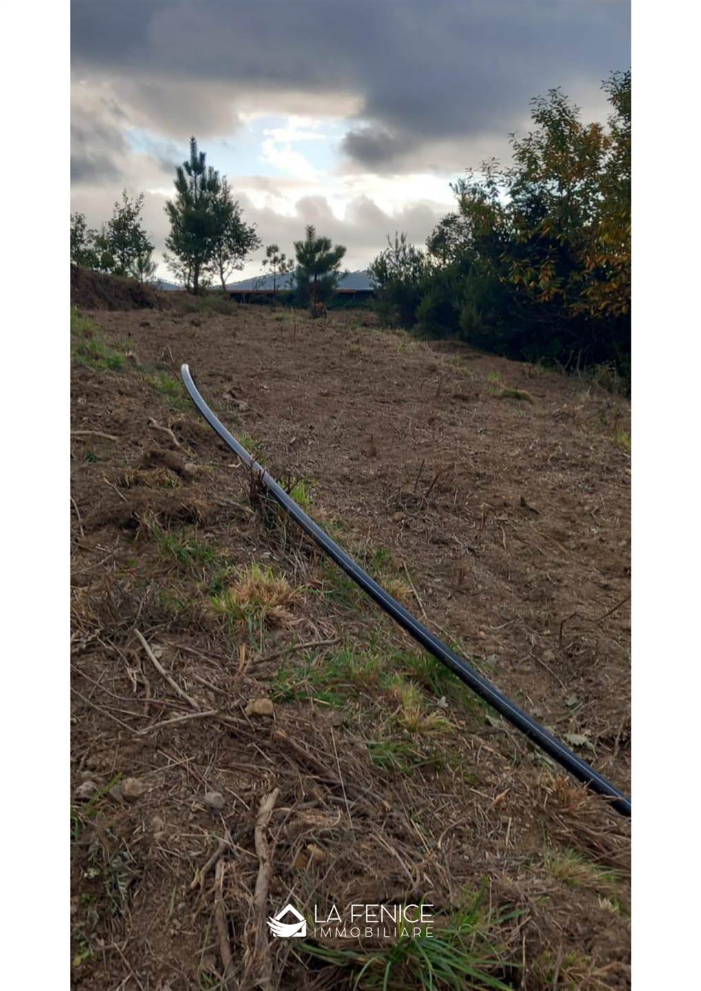 Rustico casale a Levanto con 3 locali di 136 m2 - Foto