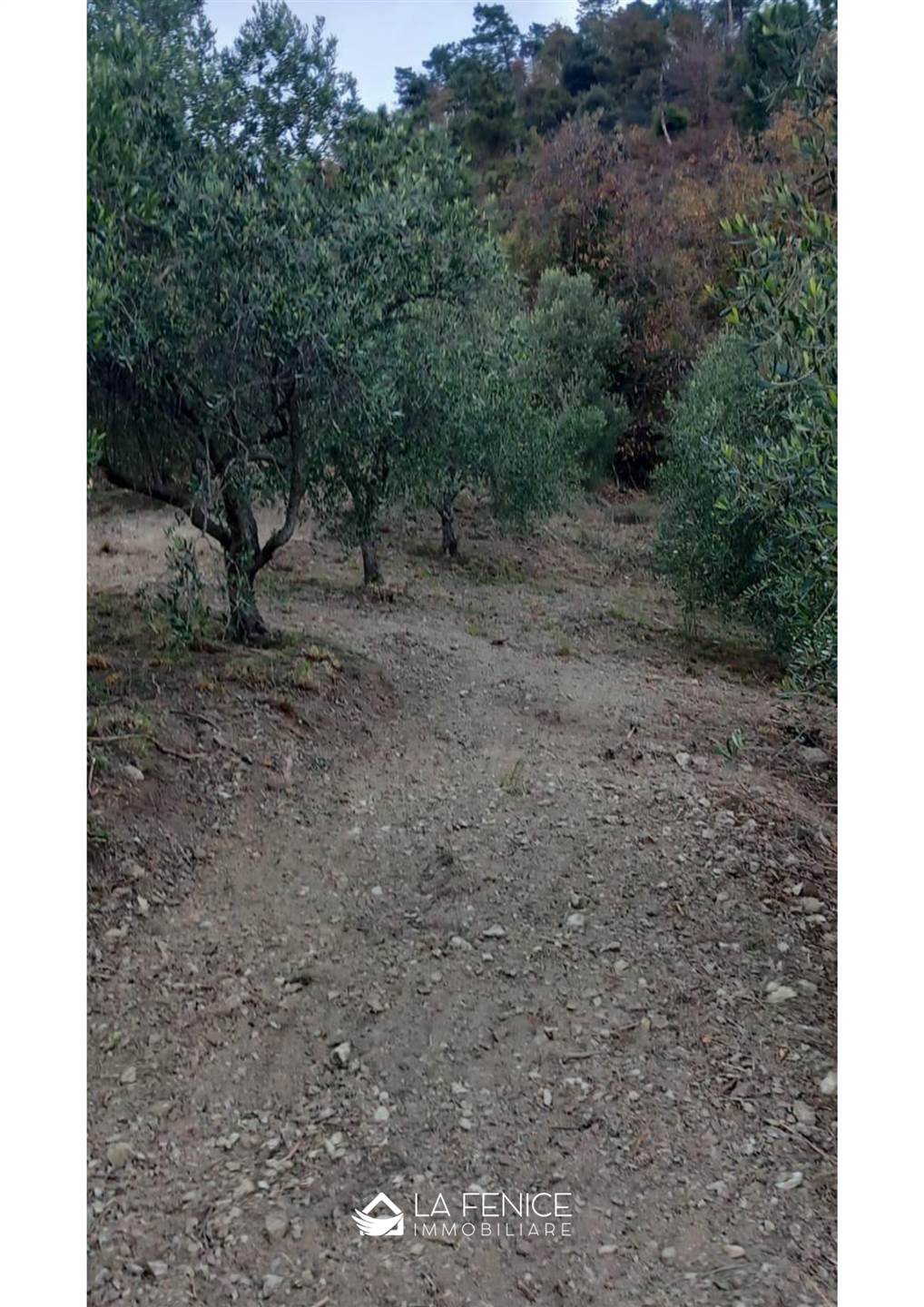 Rustico casale a Levanto con 3 locali di 136 m2 - Foto