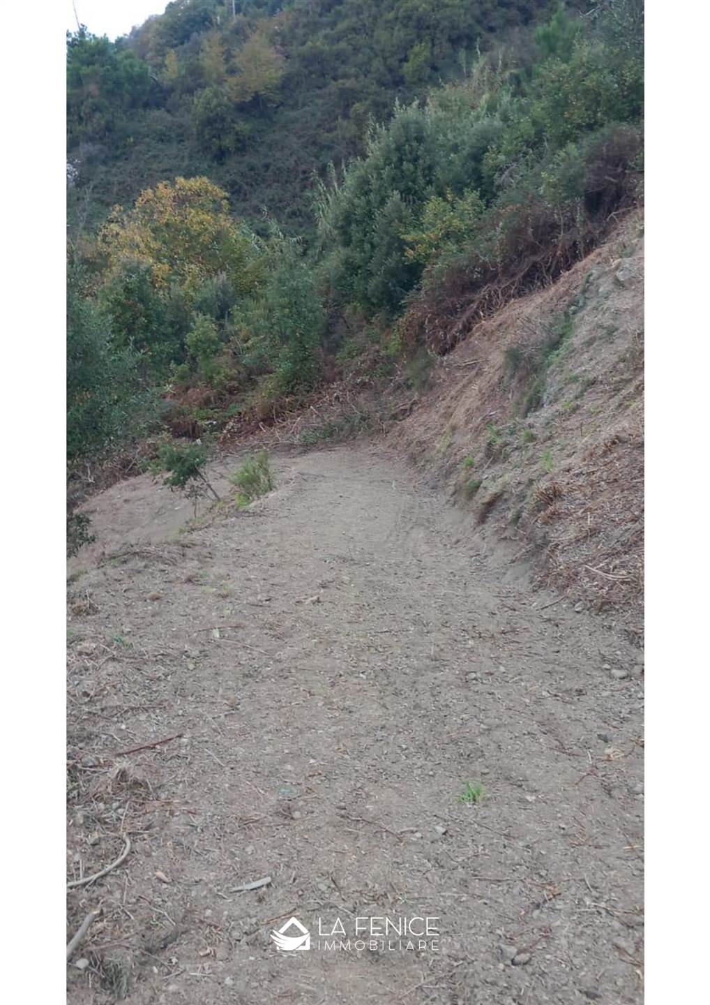Rustico casale a Levanto con 3 locali di 136 m2 - Foto