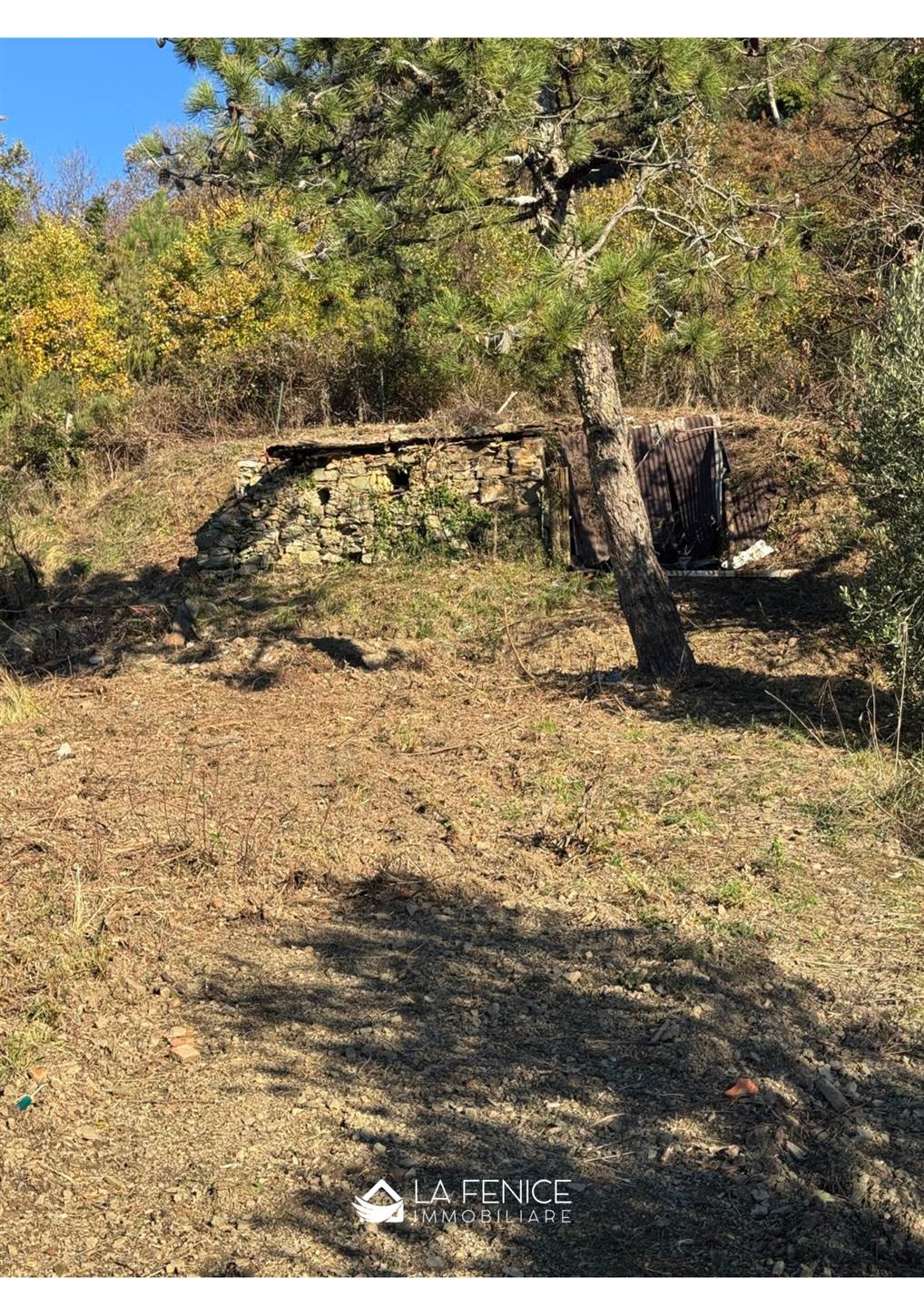 Rustico casale a Levanto con 3 locali di 136 m2 - Foto