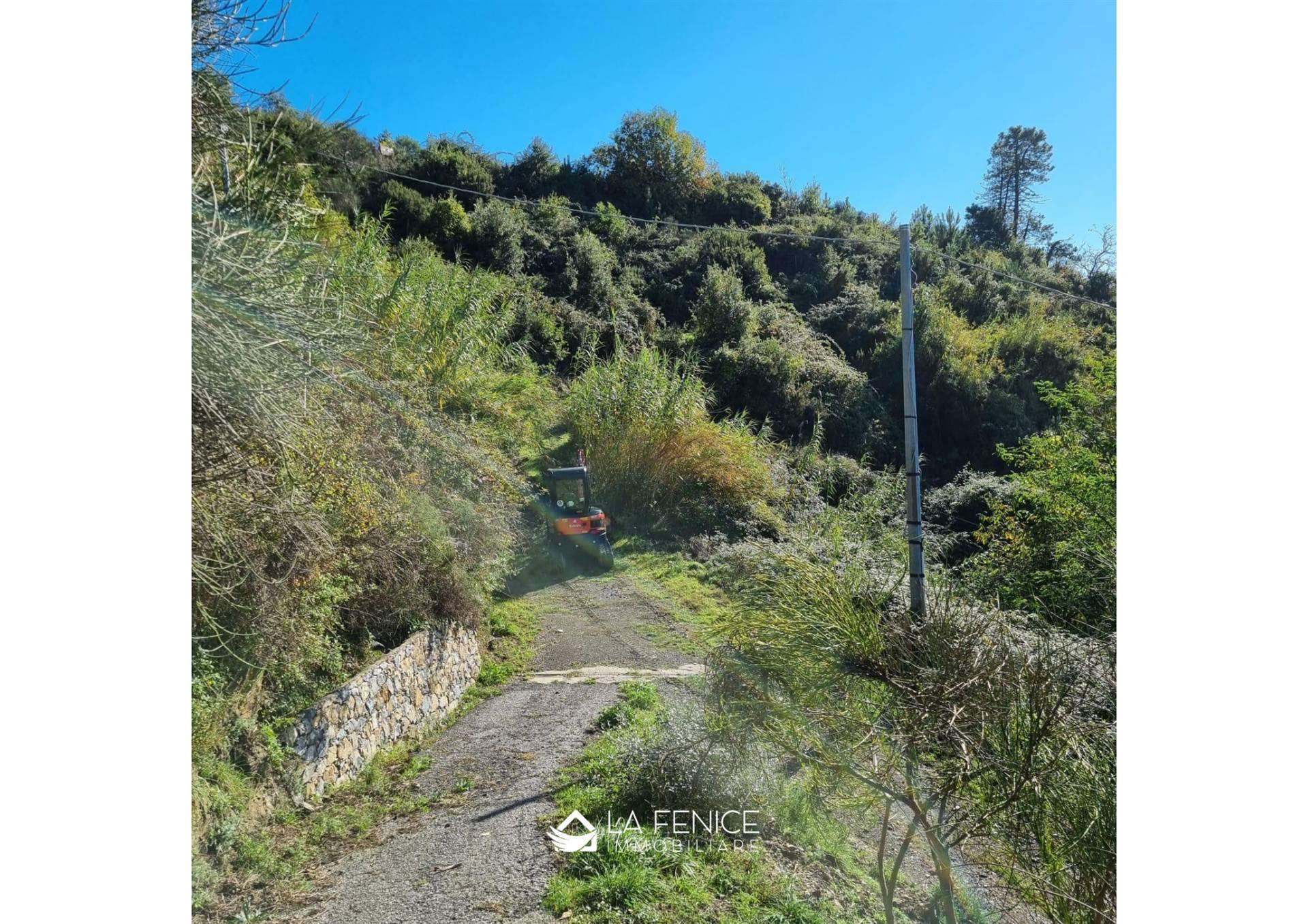 Rustico casale a Levanto con 3 locali di 136 m2 - Foto