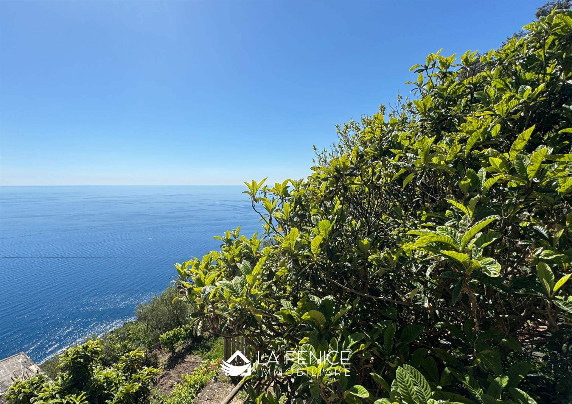 Appartamento a Vernazza con 10 locali di 211 m2 - Foto