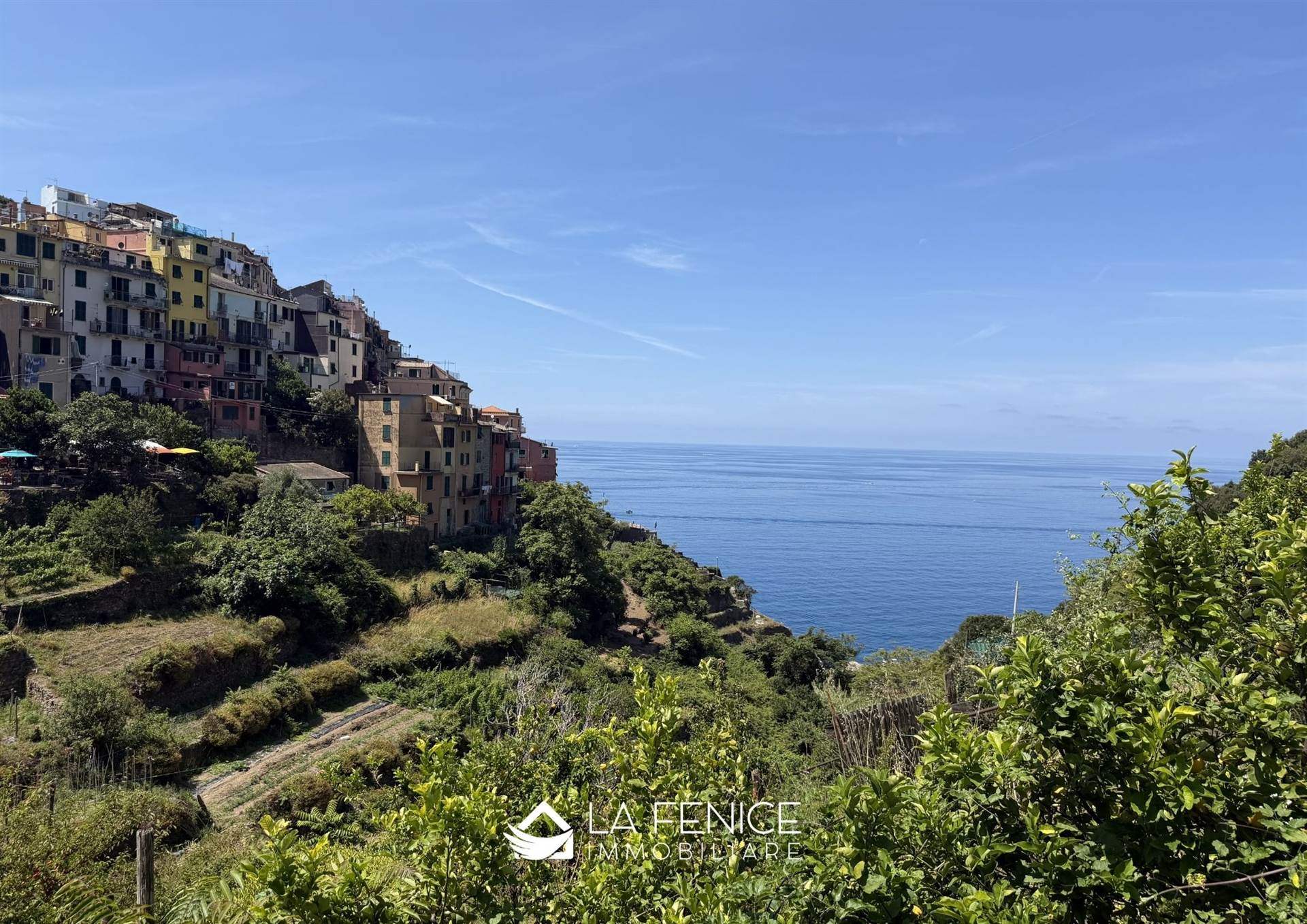 Appartamento a Vernazza con 4 locali di 58 m2 - Foto Appartamento a Vernazza con 4 locali di 58 m2 - Foto
