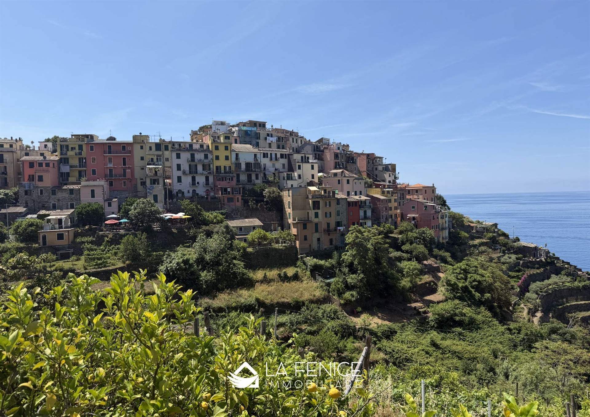 Appartamento a Vernazza con 4 locali di 58 m2 - Foto Appartamento a Vernazza con 4 locali di 58 m2 - Foto