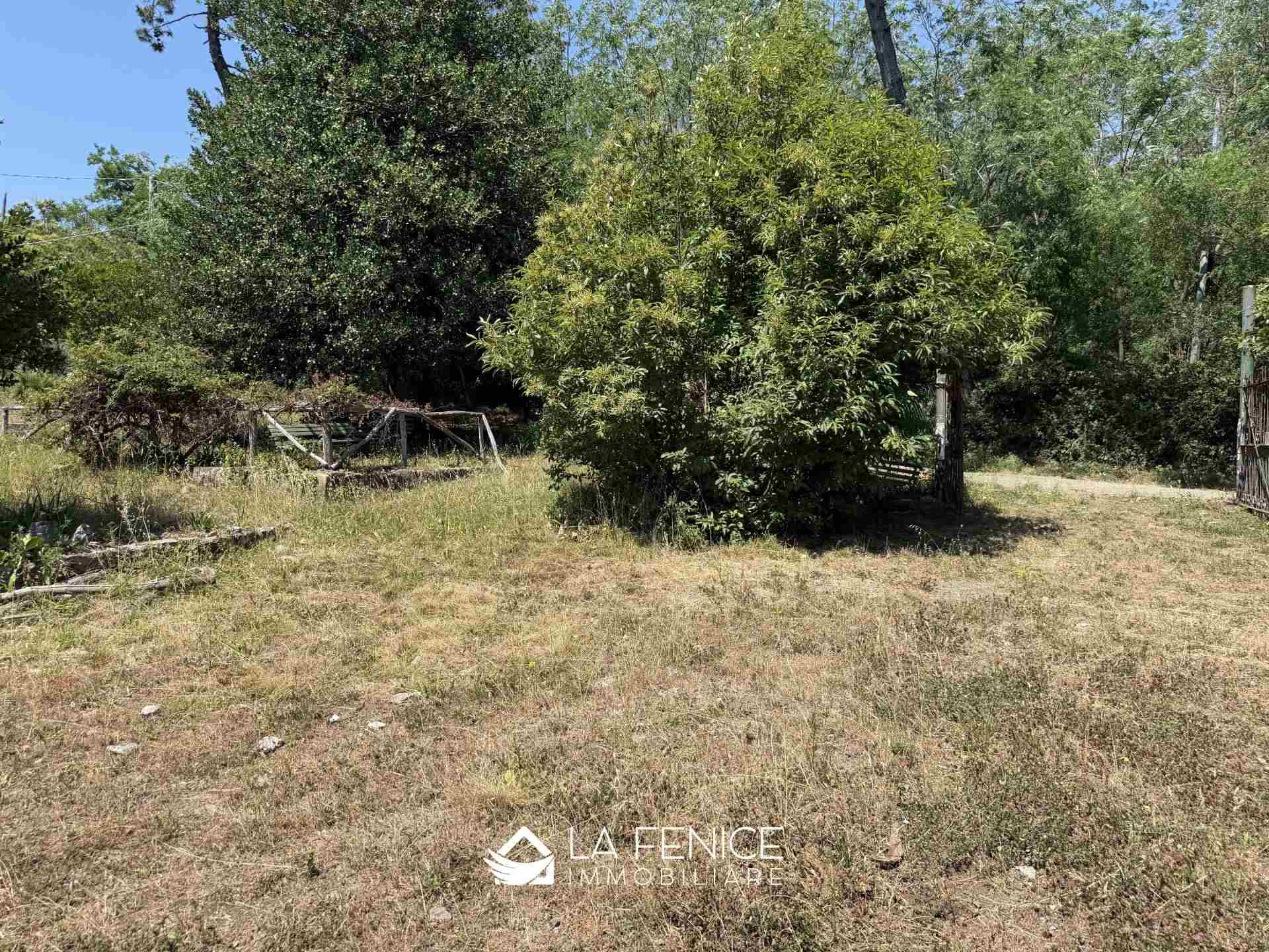 Rustico casale a Riomaggiore con 8 locali di 379 m2 - Foto Rustico casale a Riomaggiore con 8 locali di 379 m2 - Foto