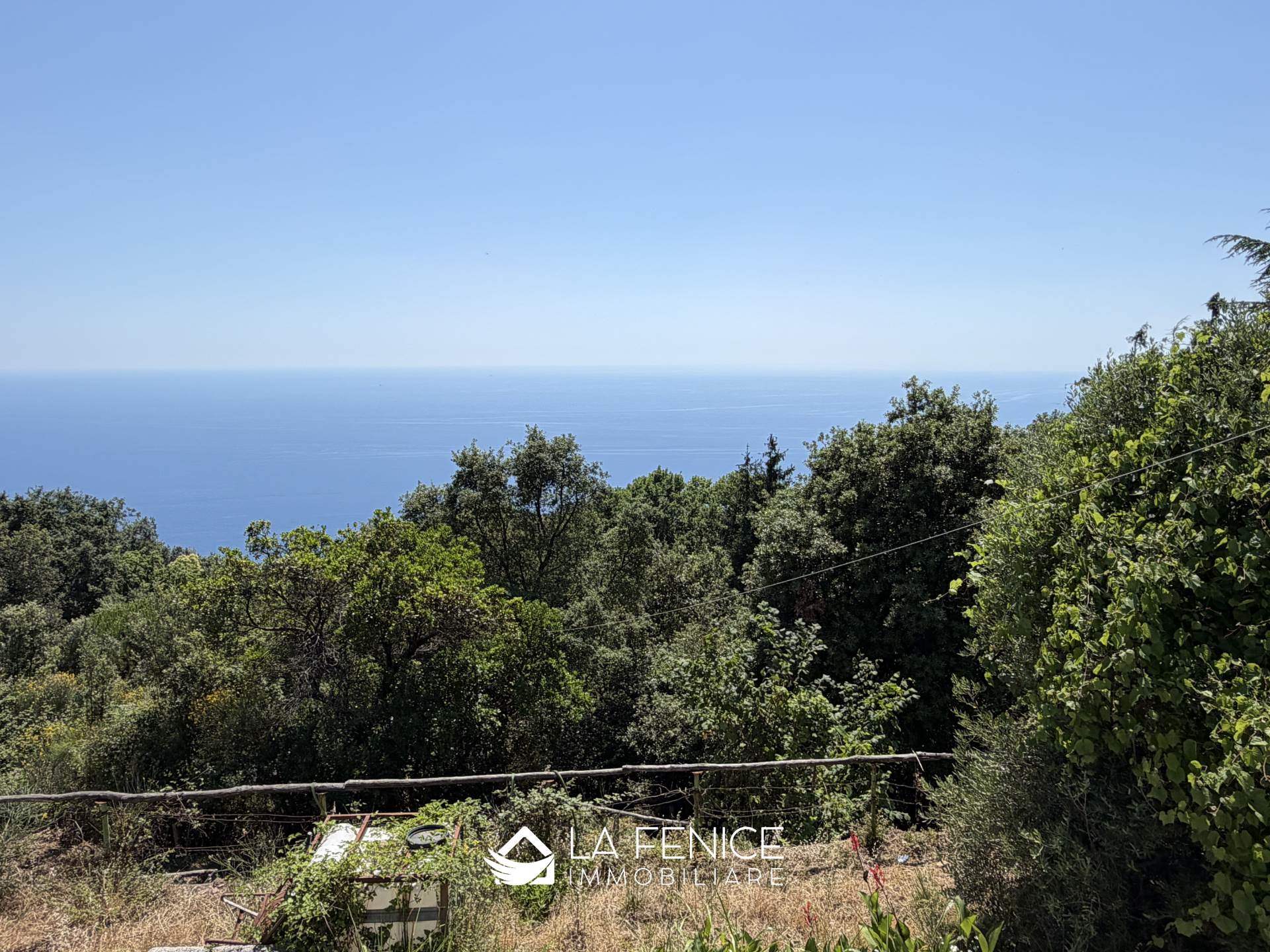 Rustico casale a Riomaggiore con 8 locali di 379 m2 - Foto Rustico casale a Riomaggiore con 8 locali di 379 m2 - Foto