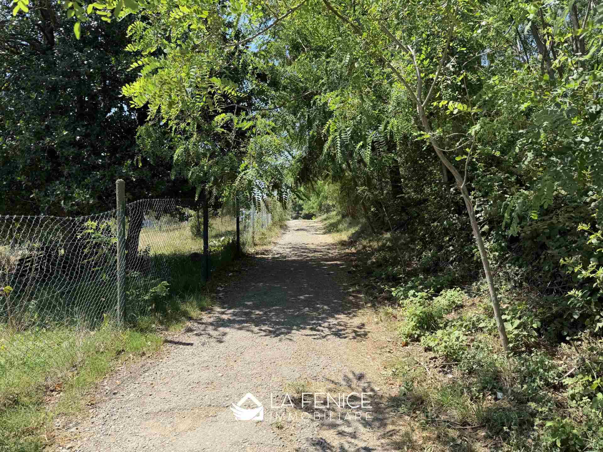 Rustico casale a Riomaggiore con 8 locali di 379 m2 - Foto Rustico casale a Riomaggiore con 8 locali di 379 m2 - Foto