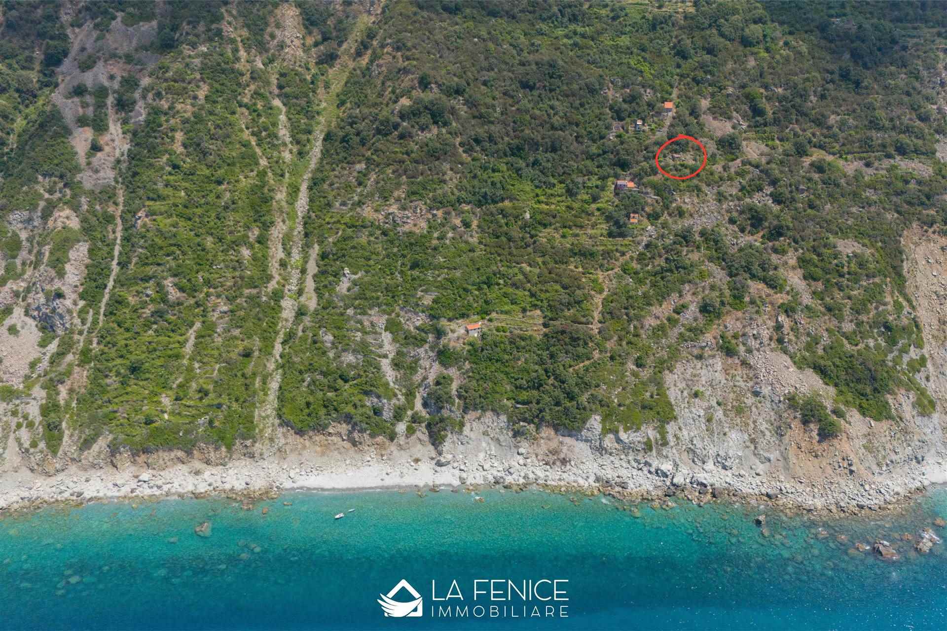 Rustico casale a La spezia con 4 locali di 73 m2 - Foto