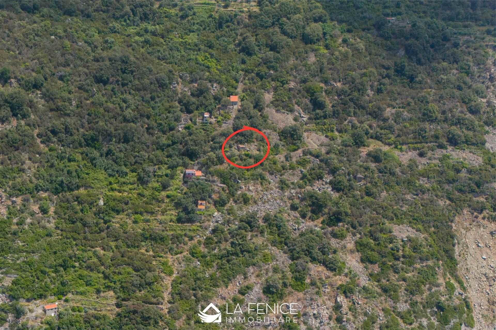 Rustico casale a La spezia con 4 locali di 73 m2 - Foto