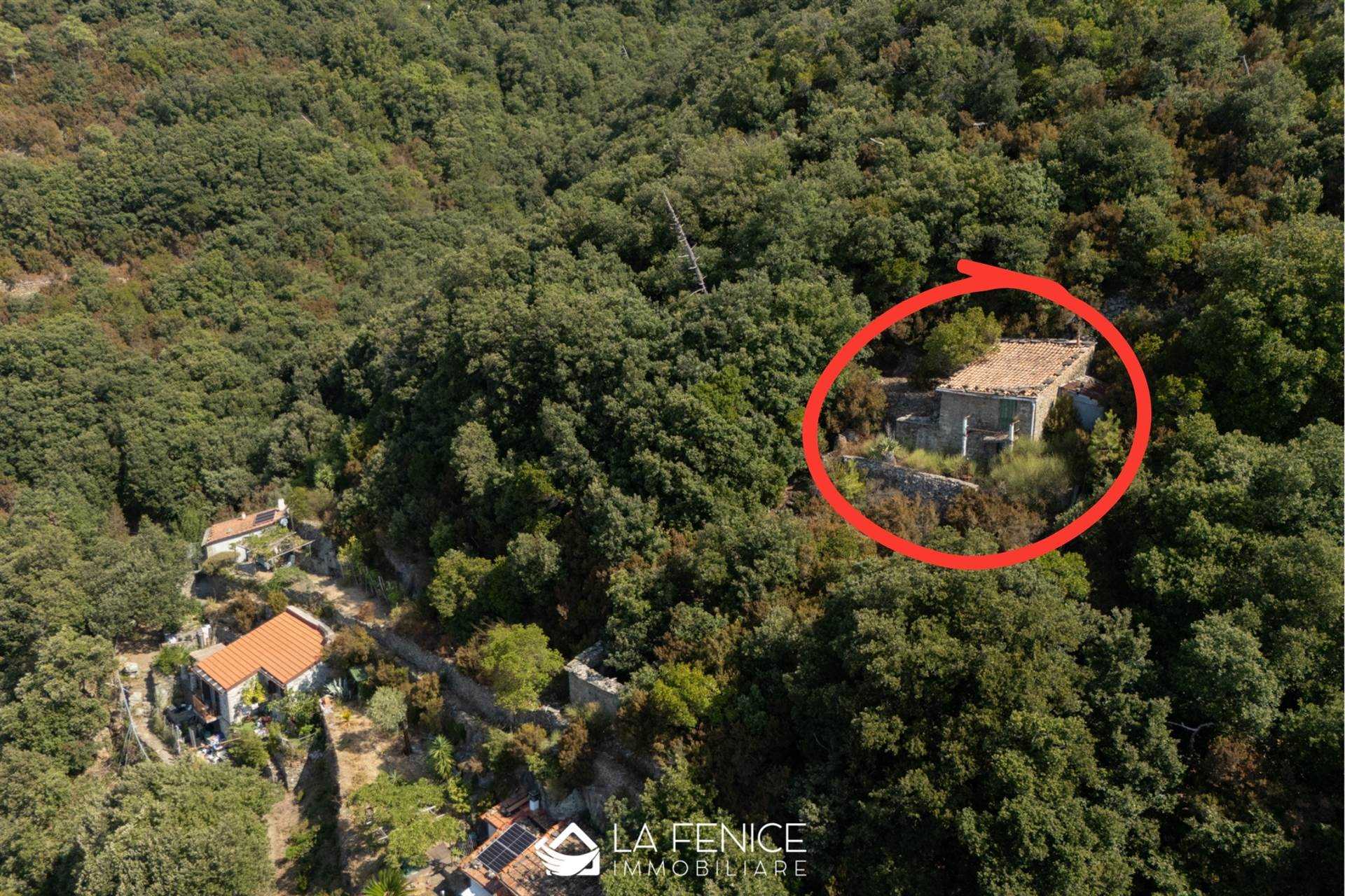 Rustico casale a La spezia con 2 locali di 49 m2 - Foto Rustico casale a La spezia con 2 locali di 49 m2 - Foto