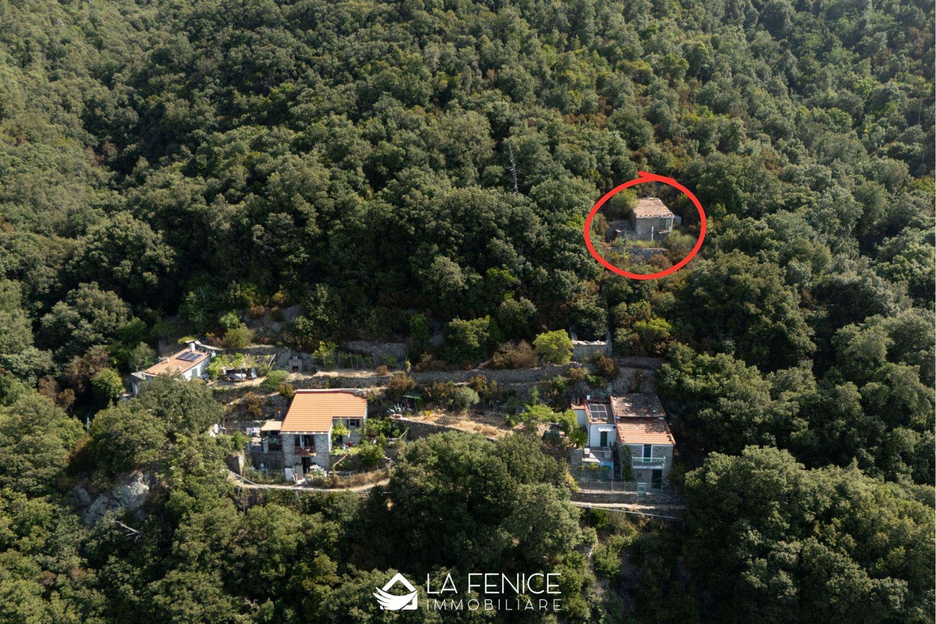 Rustico casale a La spezia con 2 locali di 49 m2 - Foto Rustico casale a La spezia con 2 locali di 49 m2 - Foto