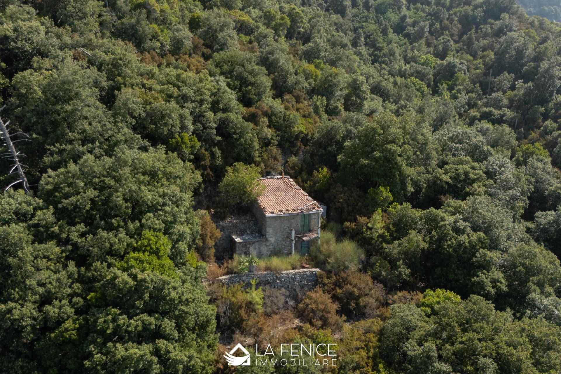 Rustico casale a La spezia con 2 locali di 49 m2 - Foto Rustico casale a La spezia con 2 locali di 49 m2 - Foto