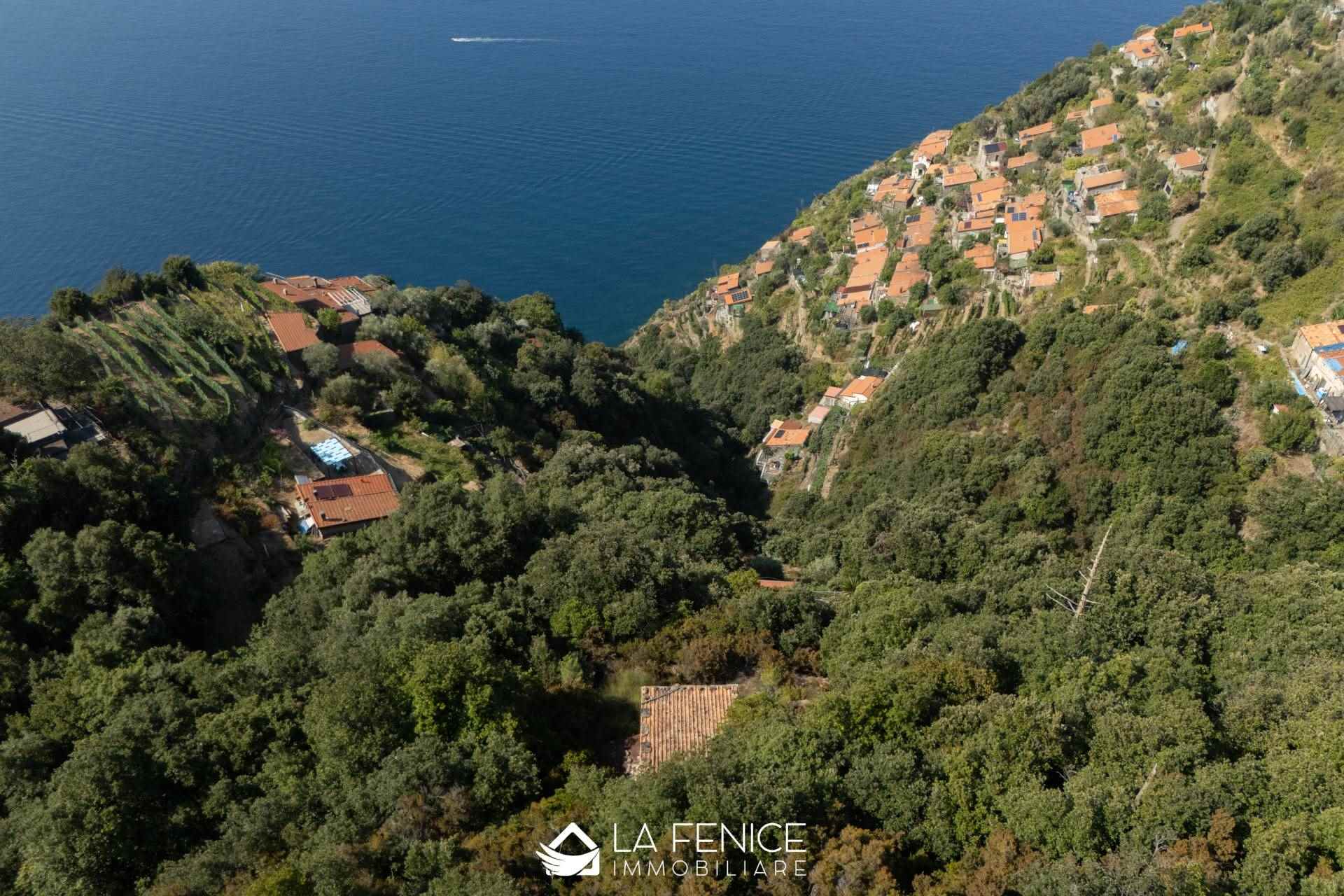 Rustico casale a La spezia con 2 locali di 49 m2 - Foto Rustico casale a La spezia con 2 locali di 49 m2 - Foto