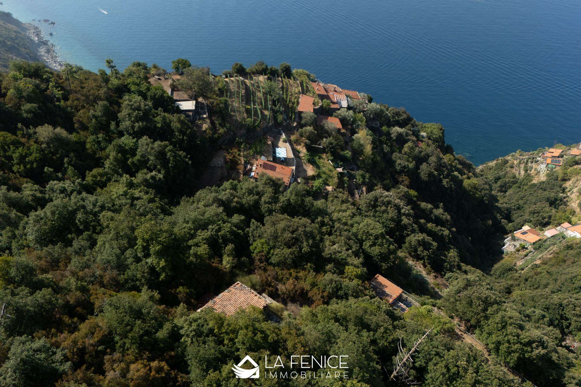 Rustico casale a La spezia con 2 locali di 49 m2 - Foto Rustico casale a La spezia con 2 locali di 49 m2 - Foto