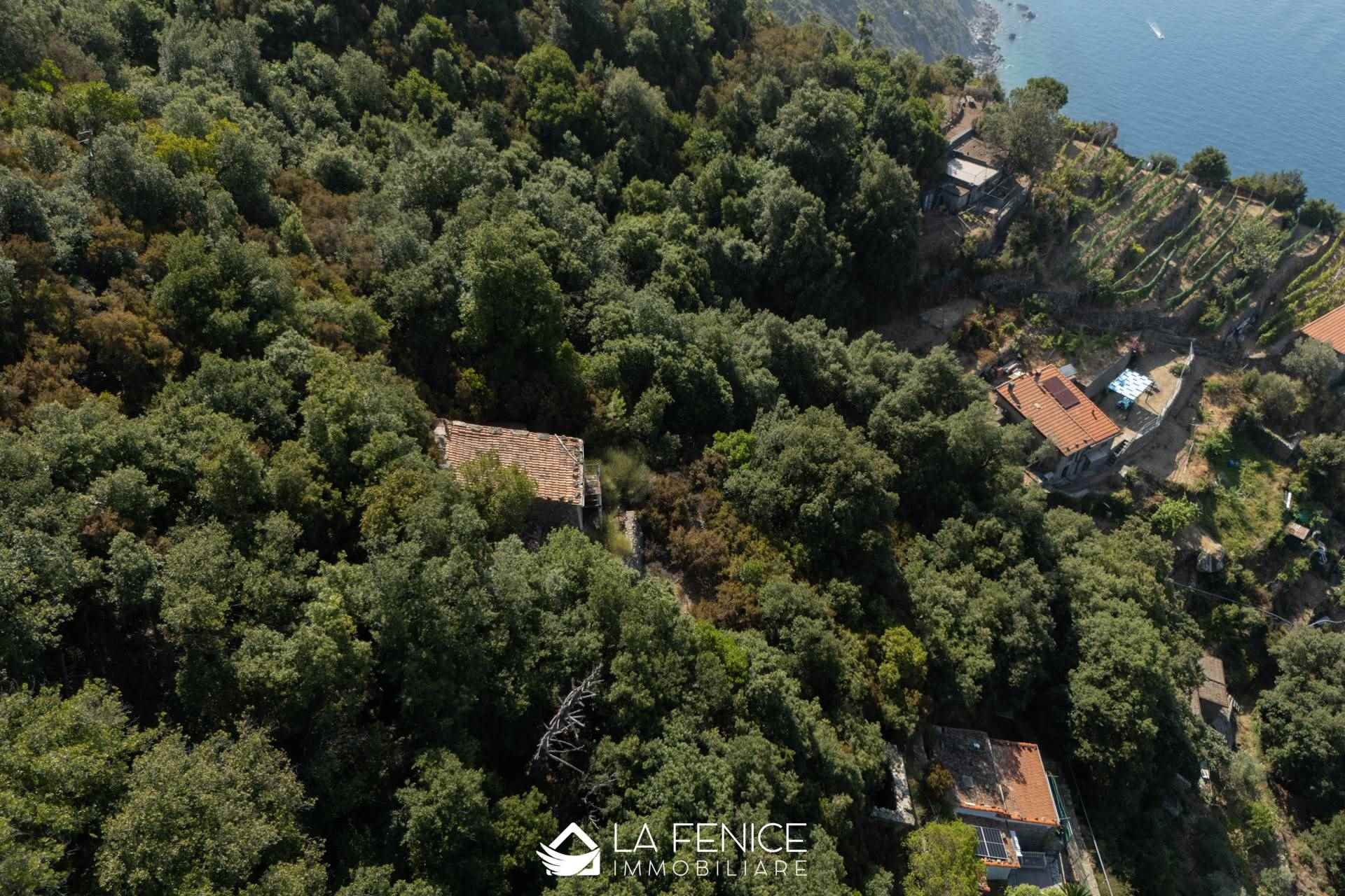 Rustico casale a La spezia con 2 locali di 49 m2 - Foto Rustico casale a La spezia con 2 locali di 49 m2 - Foto