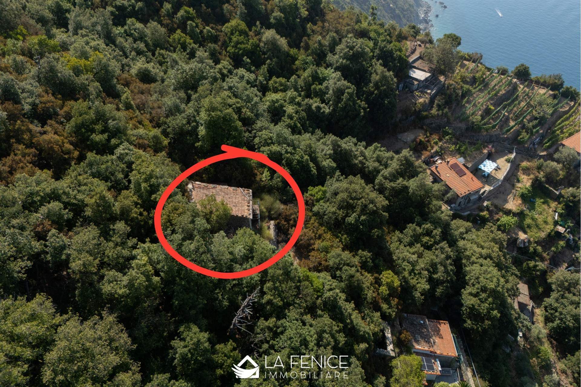 Rustico casale a La spezia con 2 locali di 49 m2 - Foto Rustico casale a La spezia con 2 locali di 49 m2 - Foto