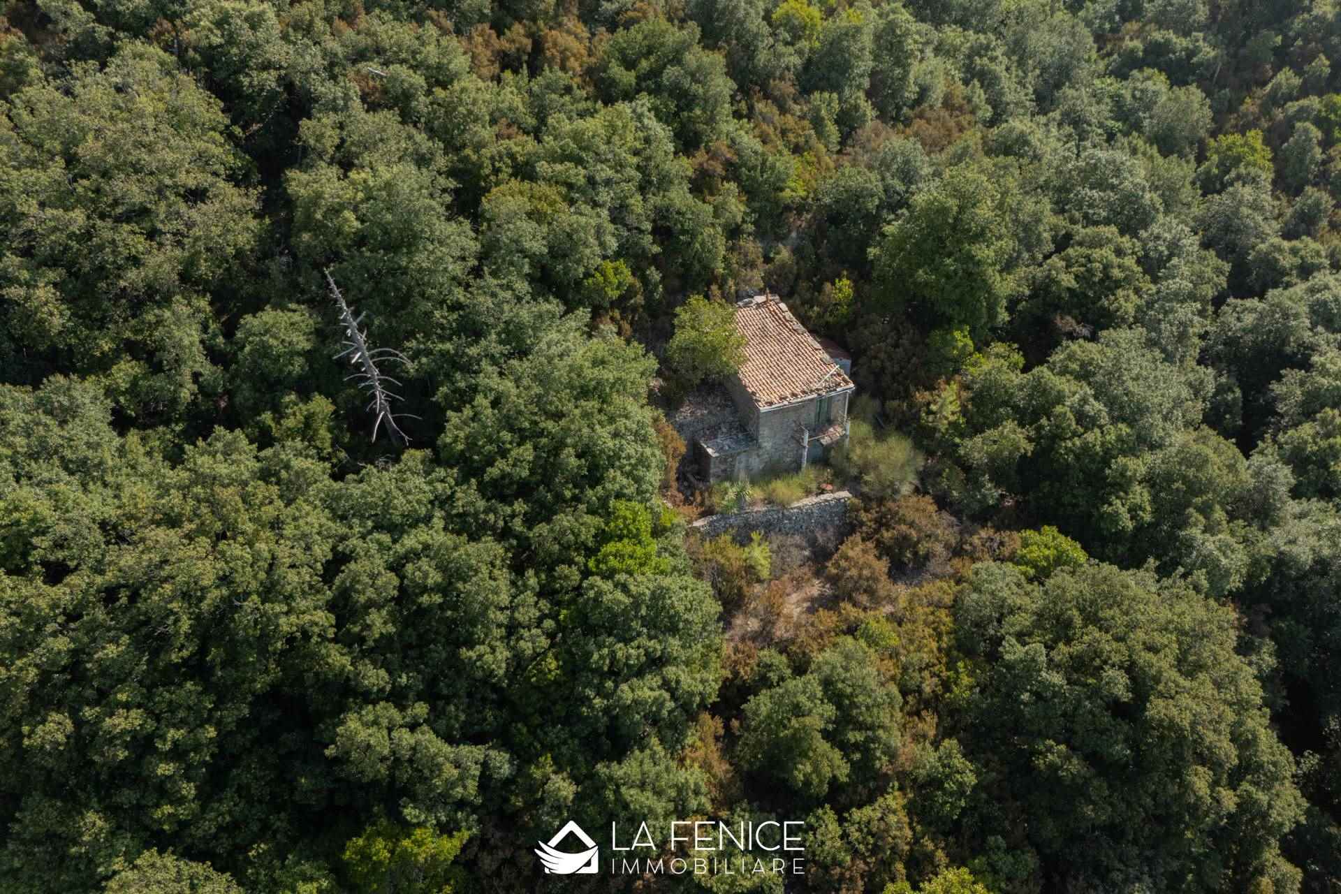 Rustico casale a La spezia con 2 locali di 49 m2 - Foto Rustico casale a La spezia con 2 locali di 49 m2 - Foto
